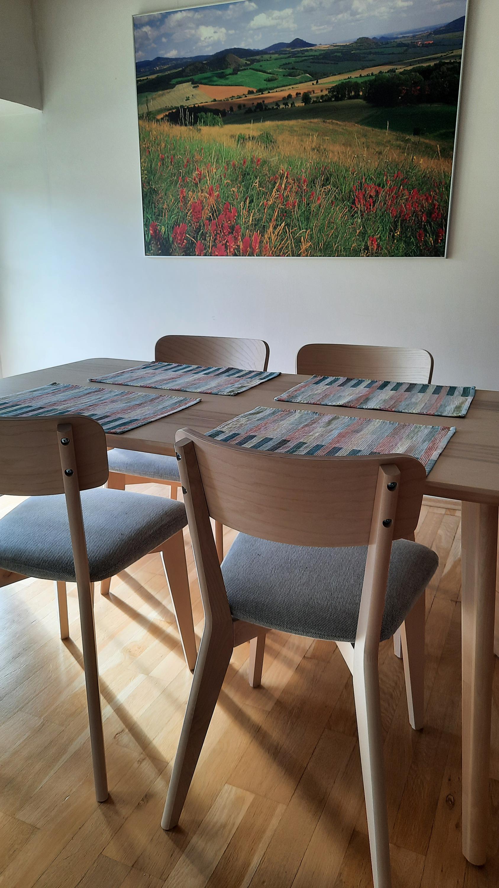 Apartmán Franz Josef foto 4
