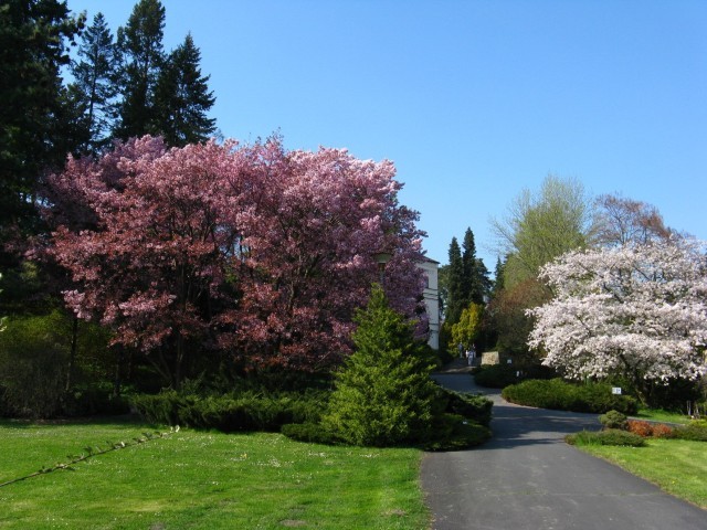 Arboretum Nový Dvůr foto 3