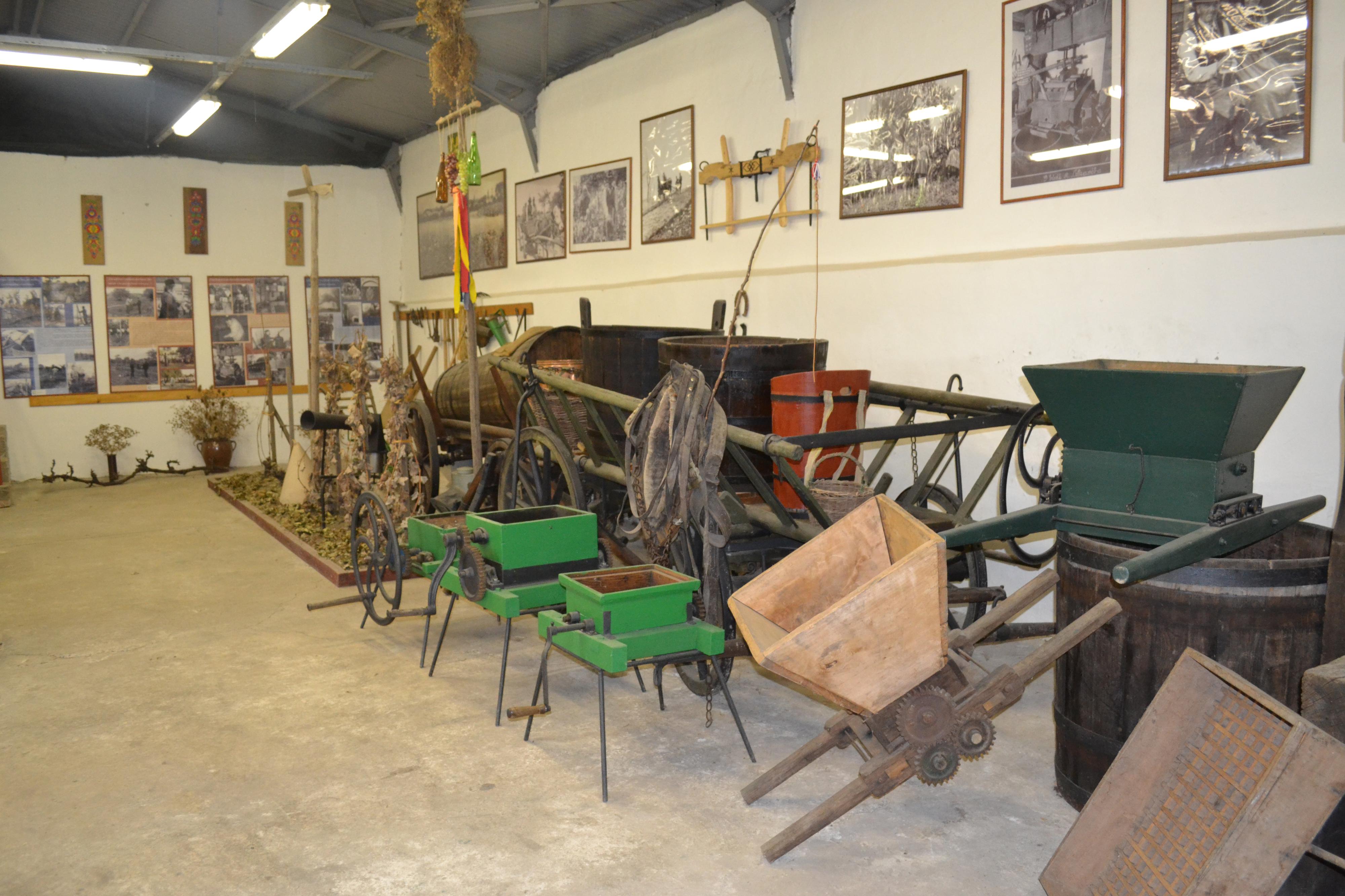 Vinařské muzeum Mikulčice foto 2