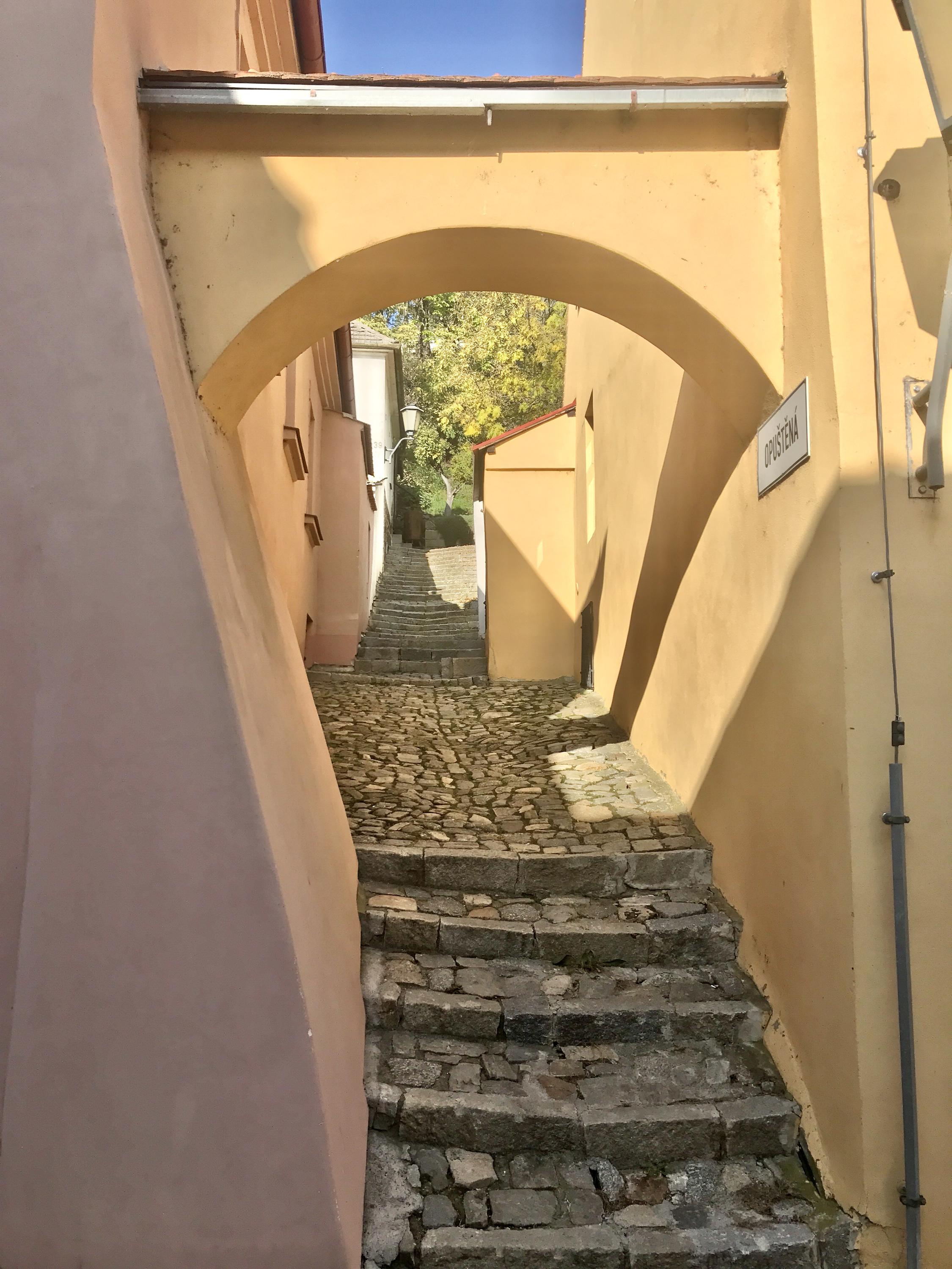 Dům Seligmanna Bauera