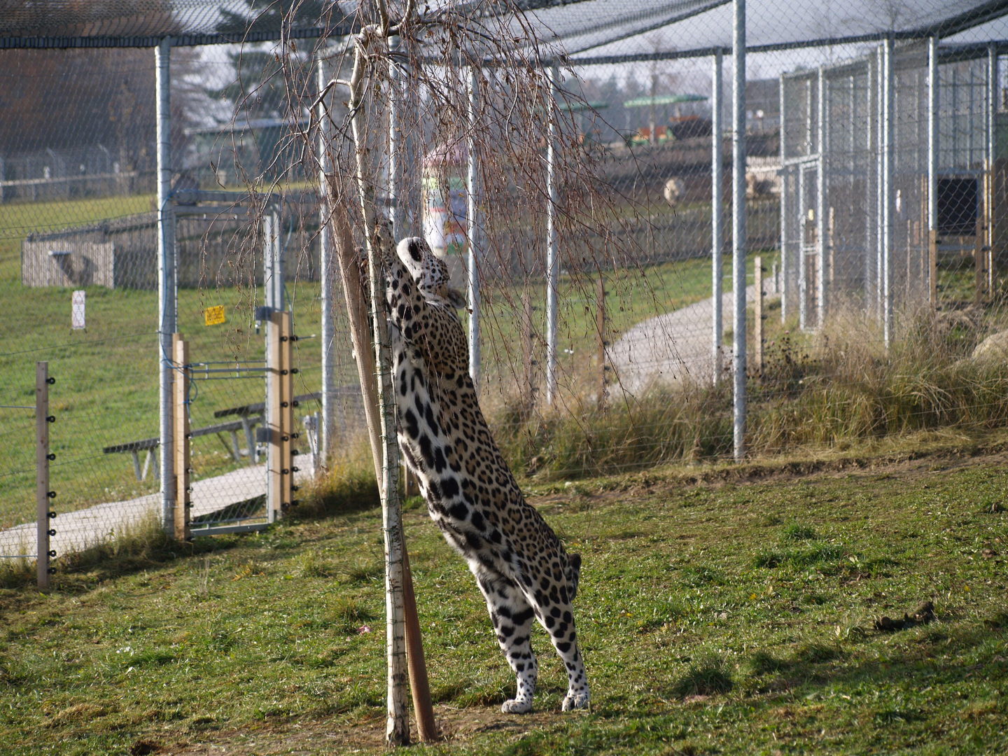 ZOO Tábor foto 4