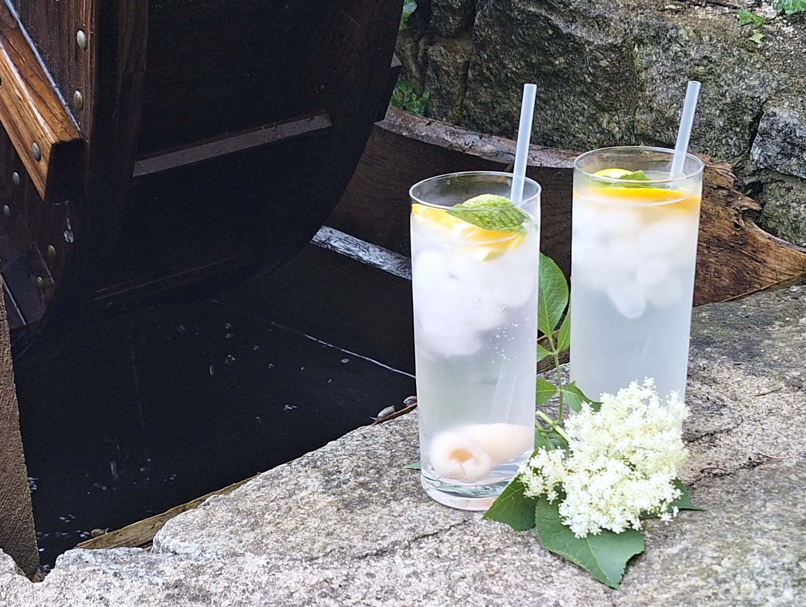 Občerstvení na mlejnku foto 3