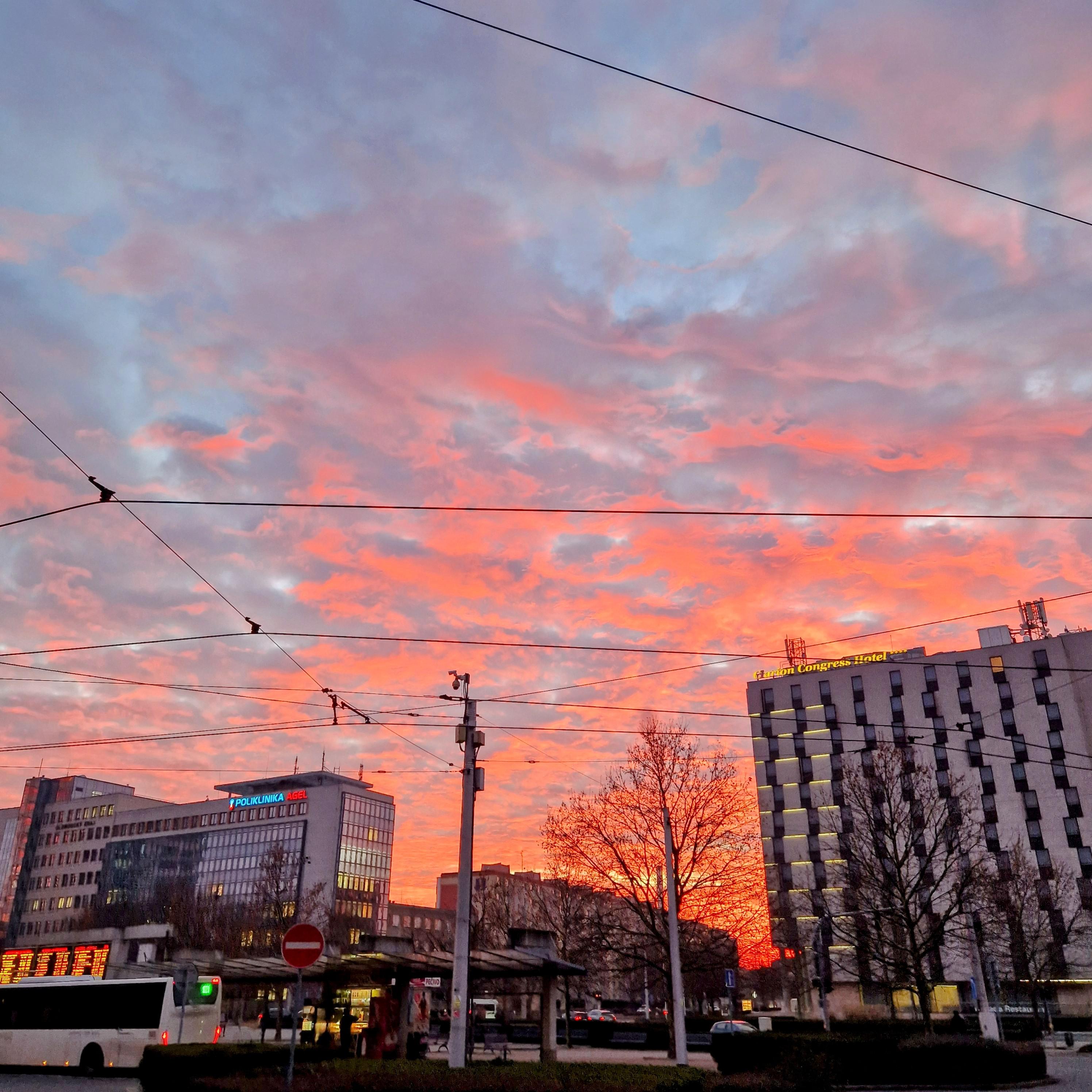 Restaurant Pizzeria Porto foto 3