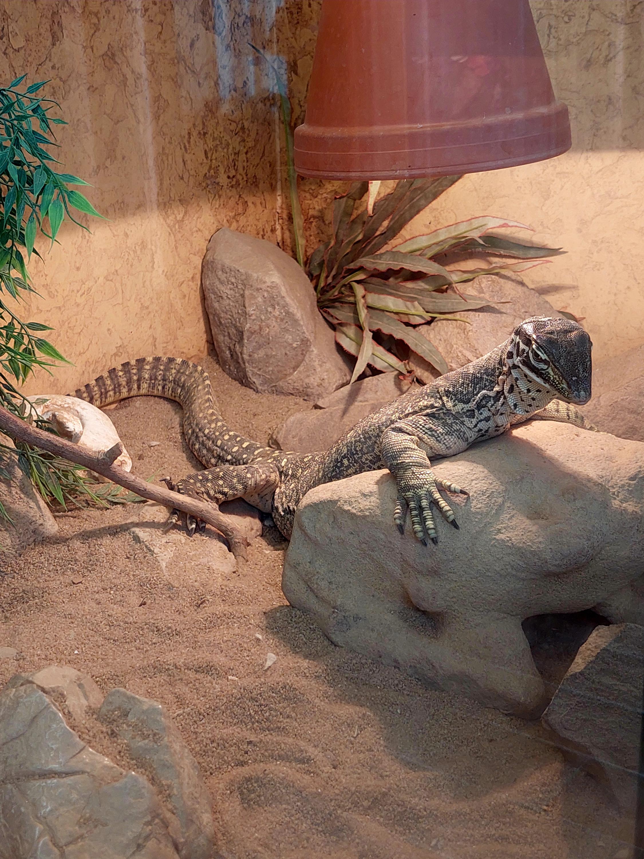 Mini Zoo Štramberk Aqua Terra foto 4