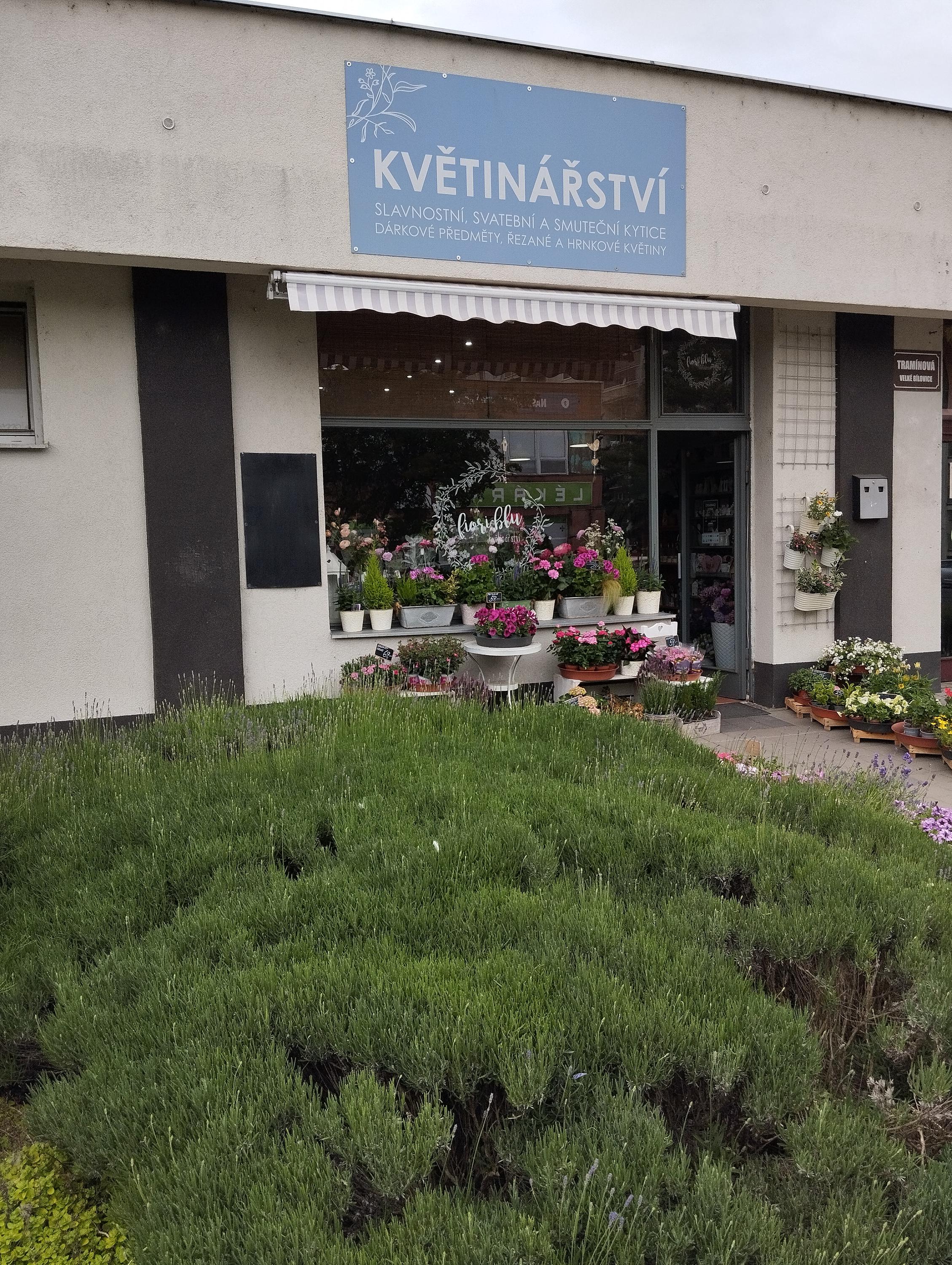Fiori Blu Nebeské Květinářství foto 2