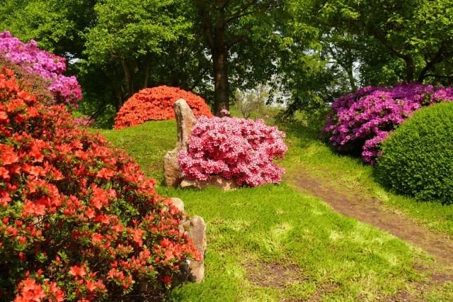 Botanická zahrada Praha