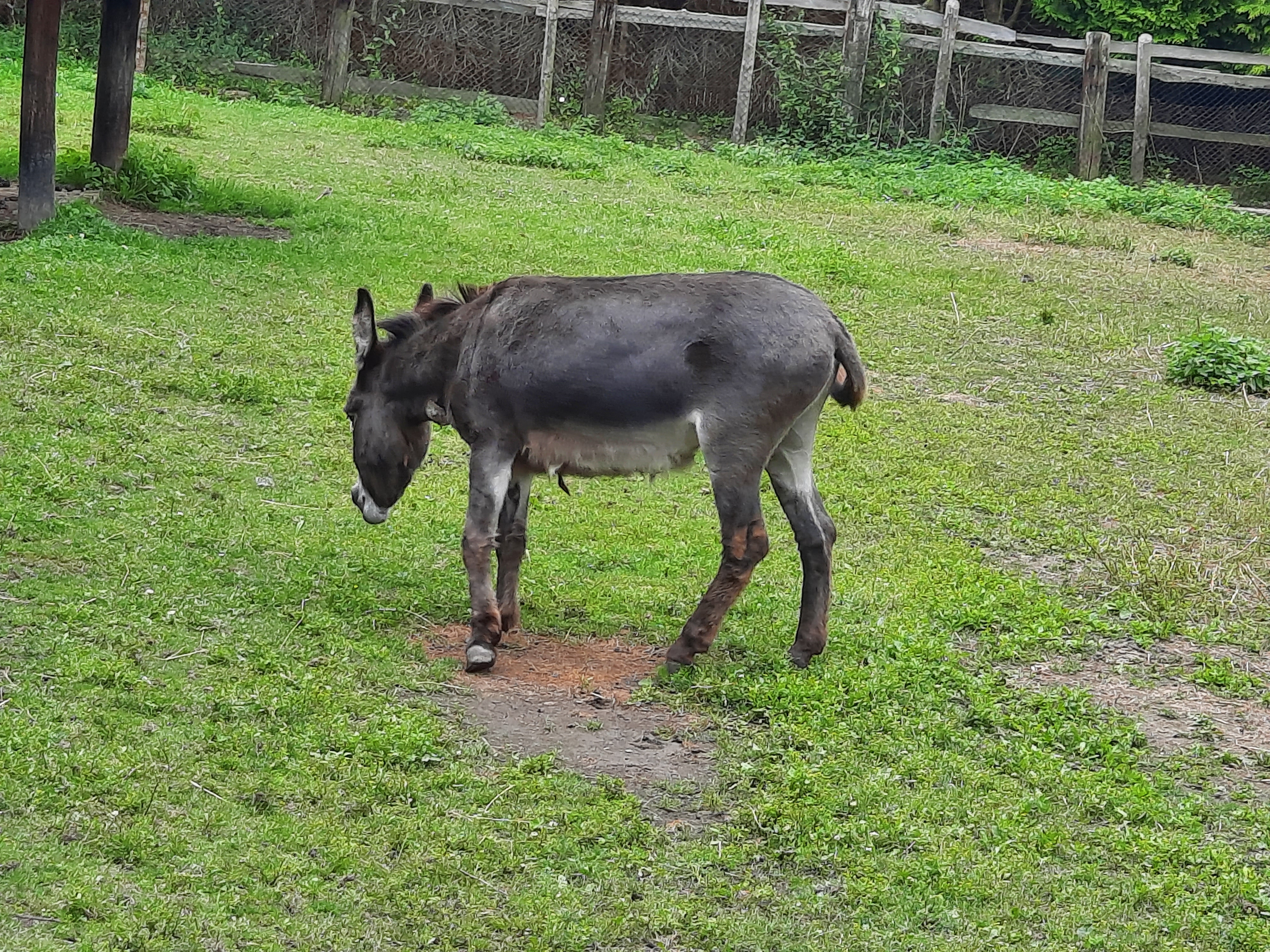 Zemědělský skanzen U Havlíčků foto 5