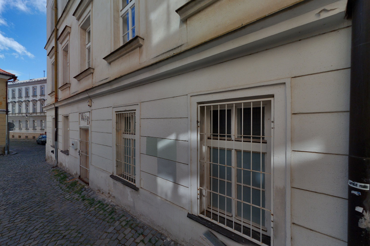 Wooden Beetle foto 1