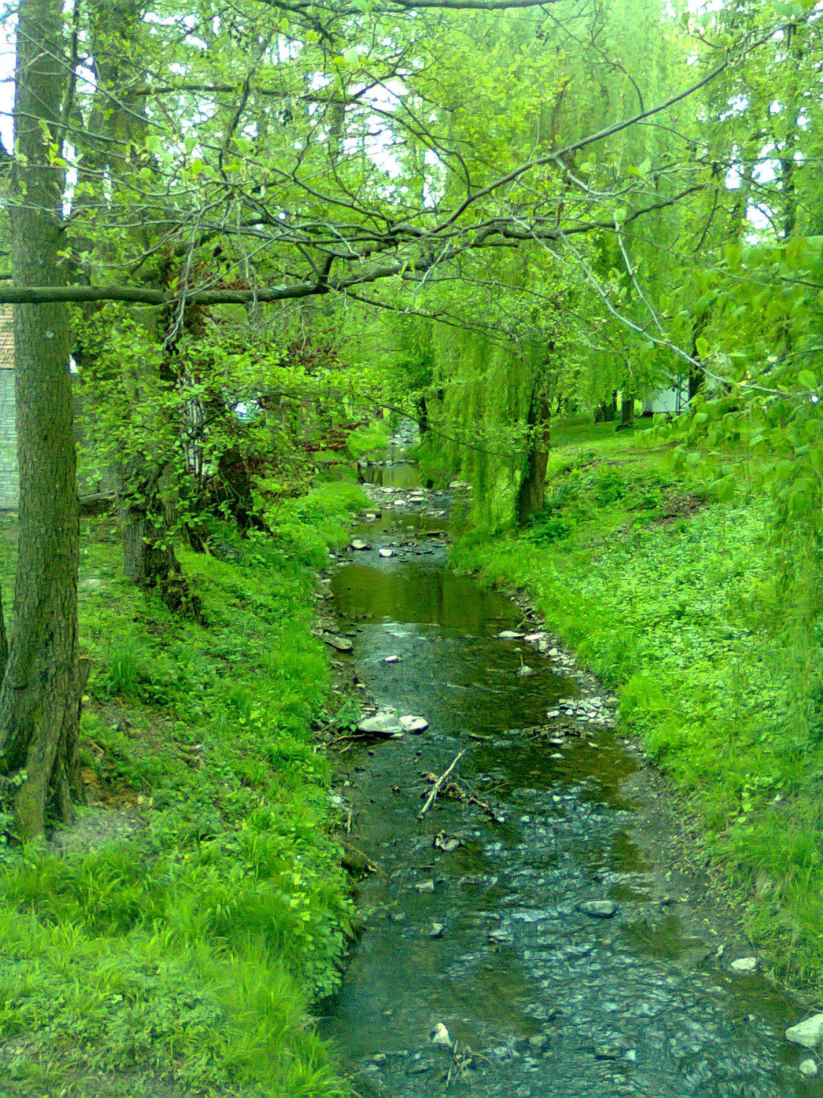 Chrtníky - obecní úřad foto 3