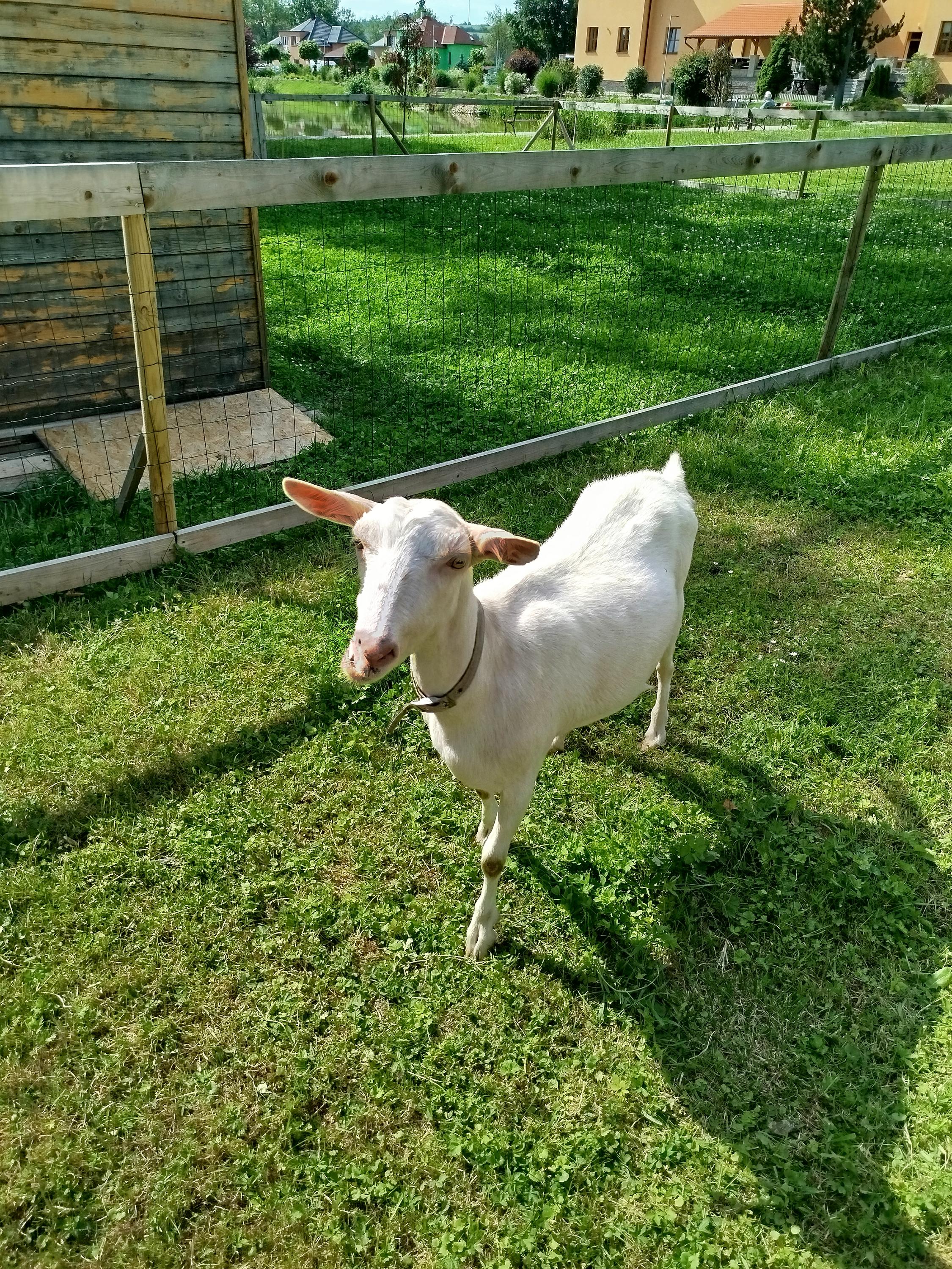 Dům s pečovatelskou službou Samanit foto 2