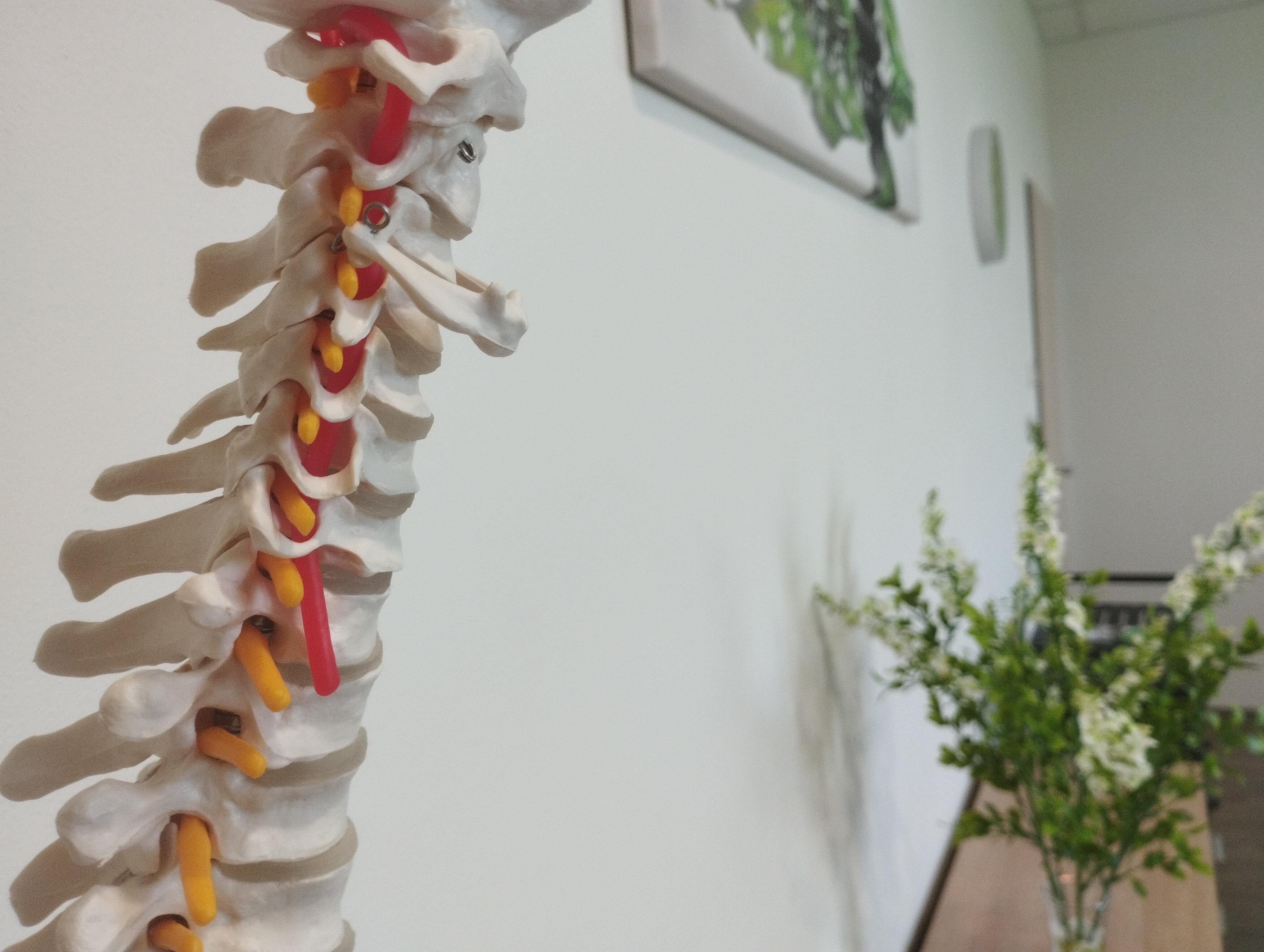 Spektram Masáže foto 3