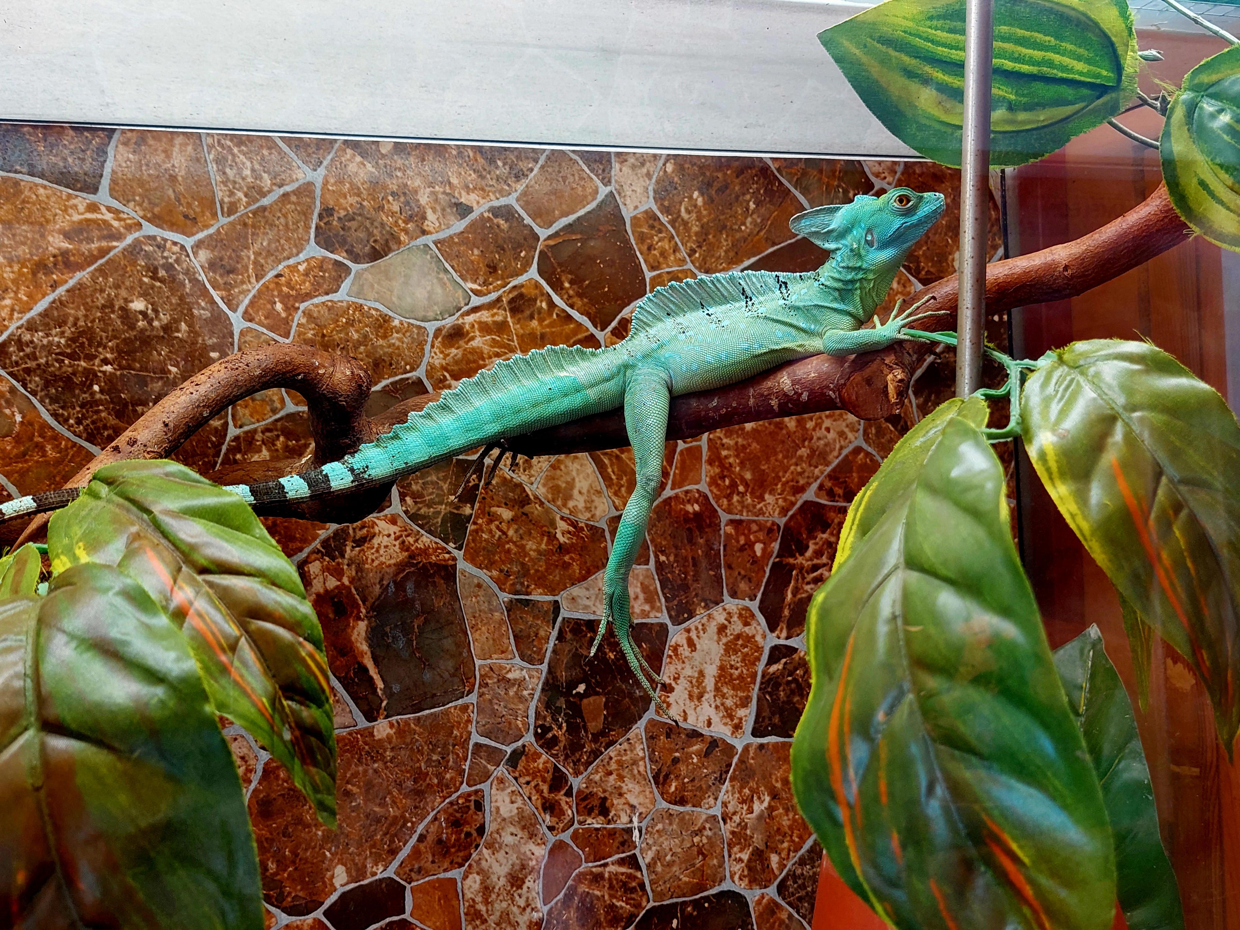 Mini Zoo Štramberk Aqua Terra foto 5