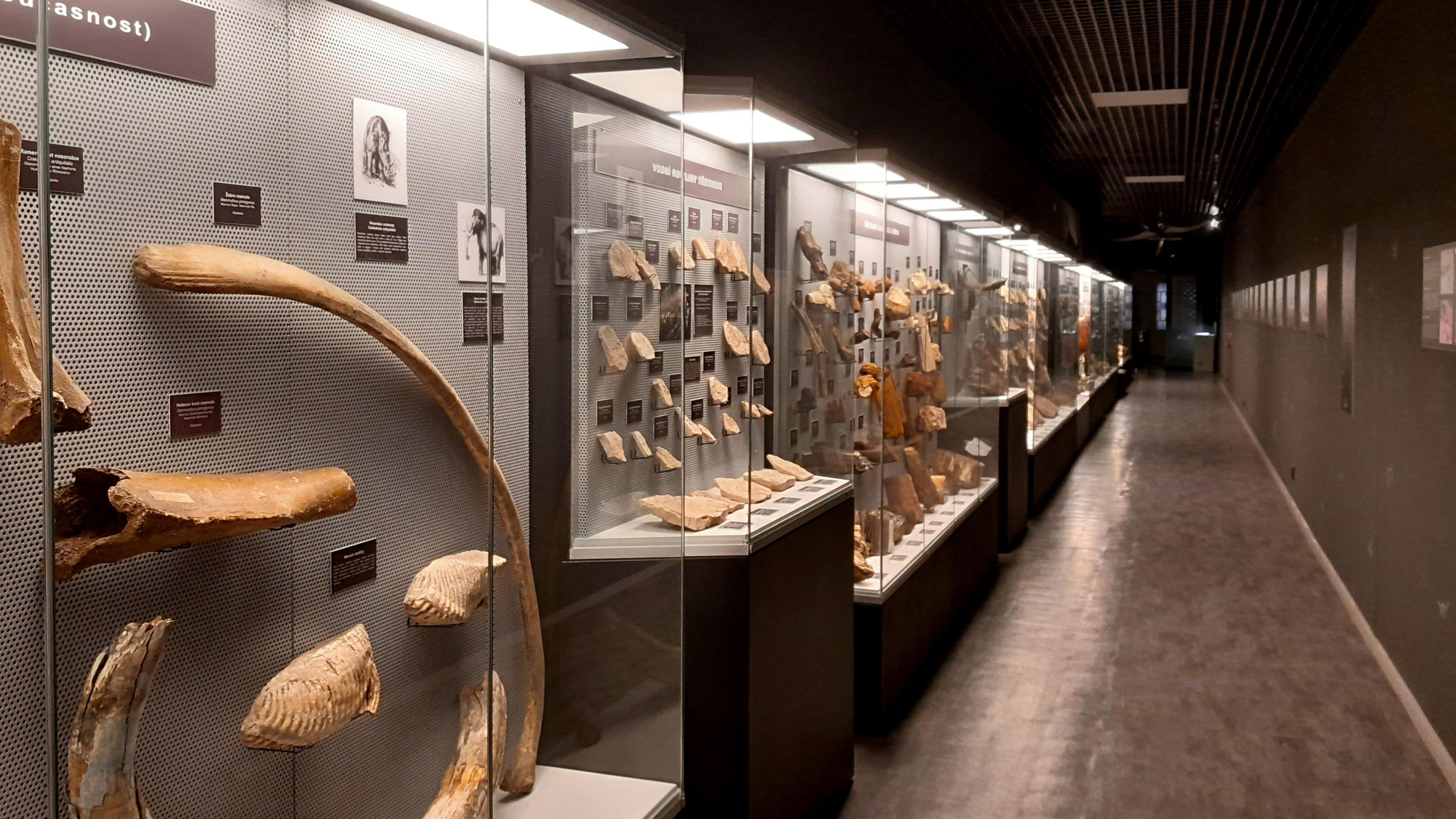 Oblastní muzeum a galerie v Mostě foto 6