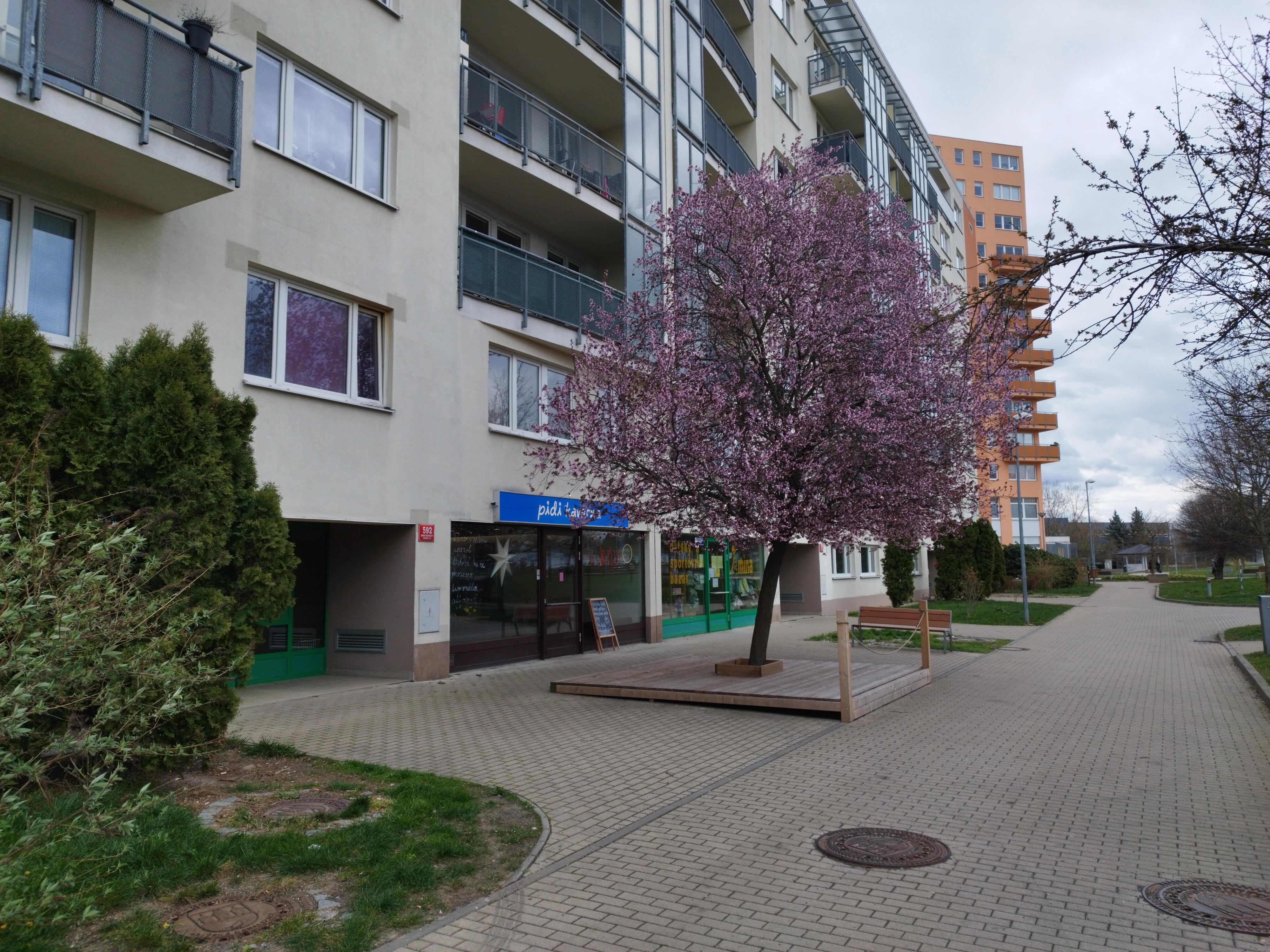 Pidi kavárna foto 2