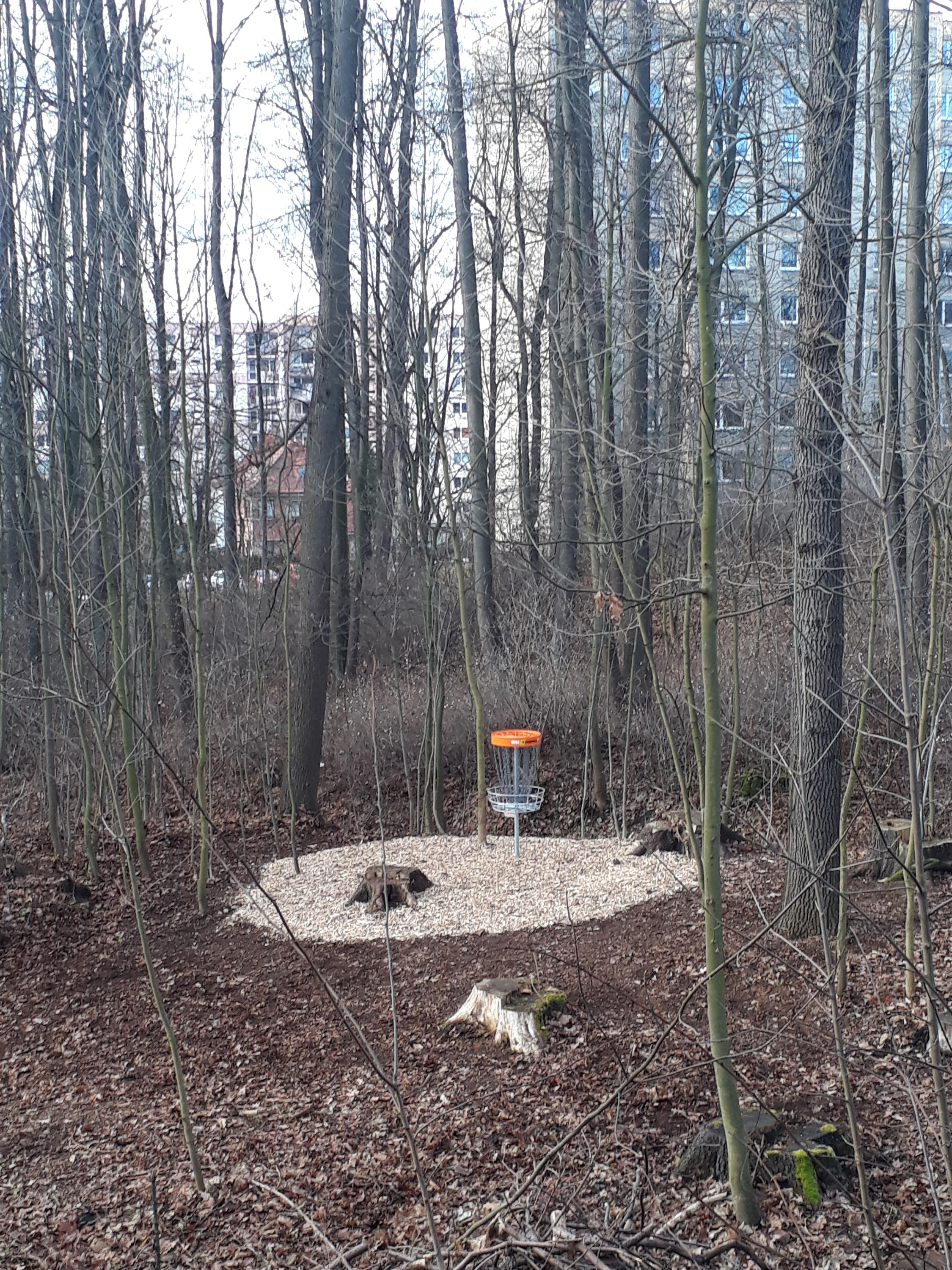 Discgolfové hřiště Frýdlant foto 6