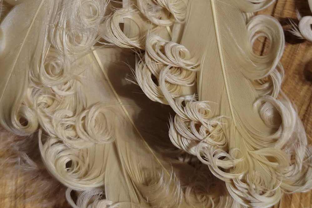 Husí peří kudrnaté délka 12-18 cm barva hořčicová