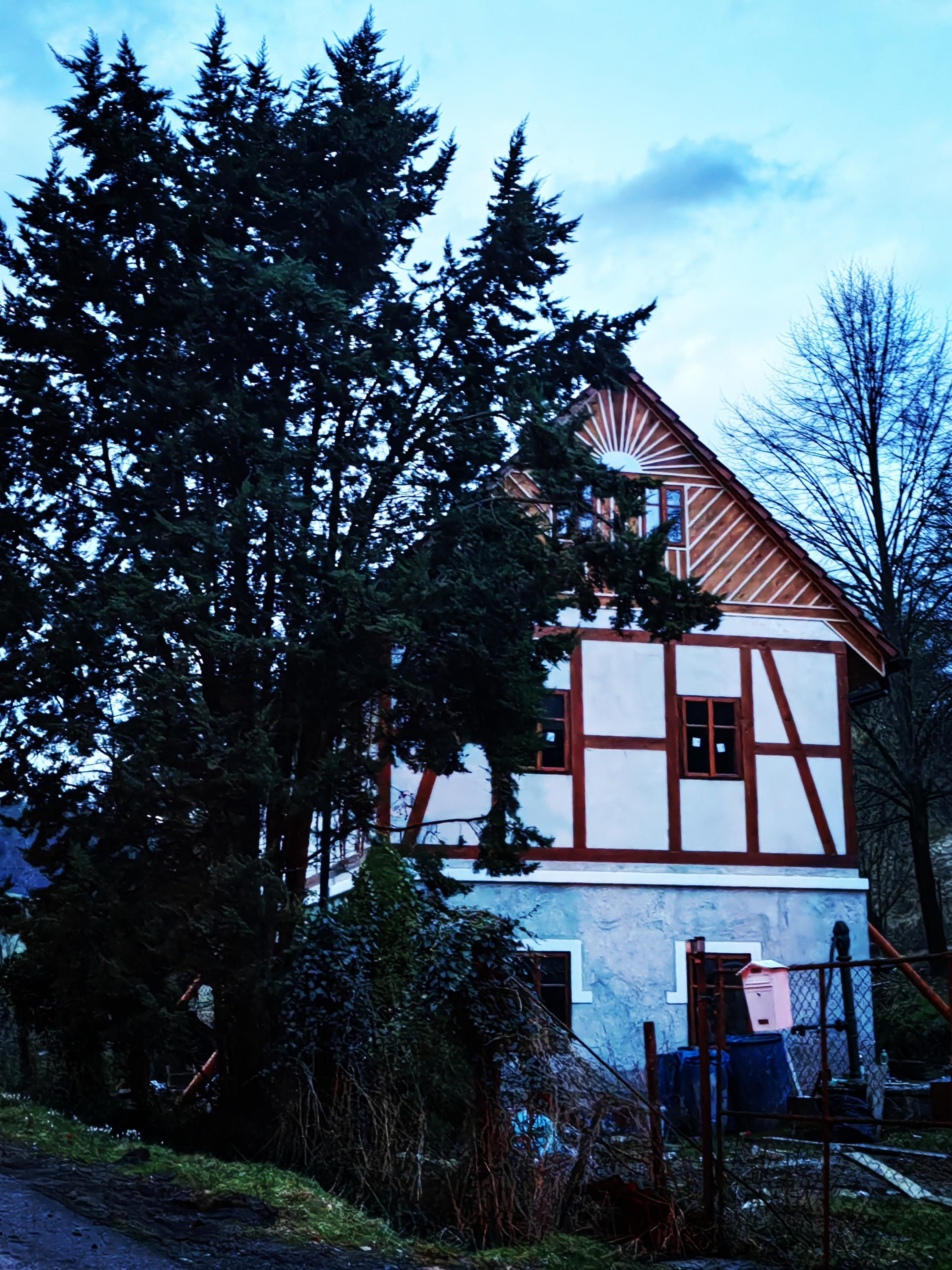 A-Z dům, zahrada, les foto 2