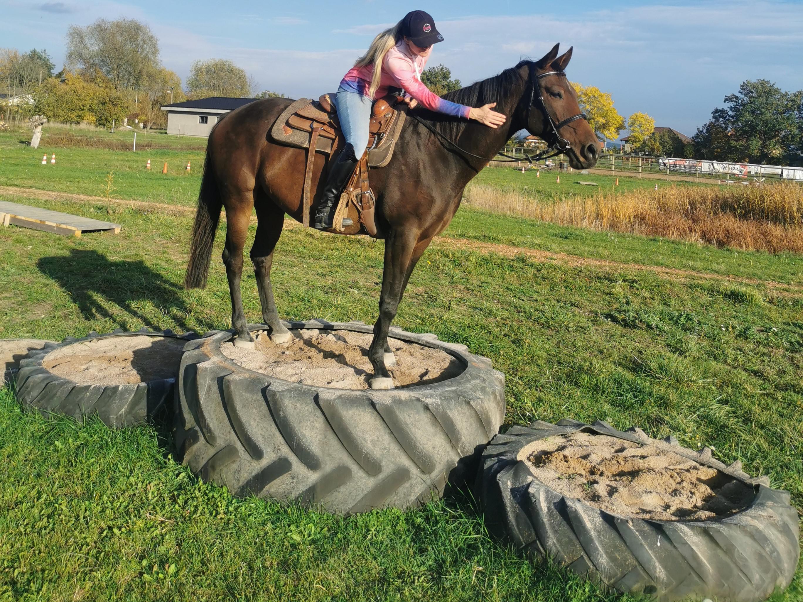 WesternFarm Alvero foto 2