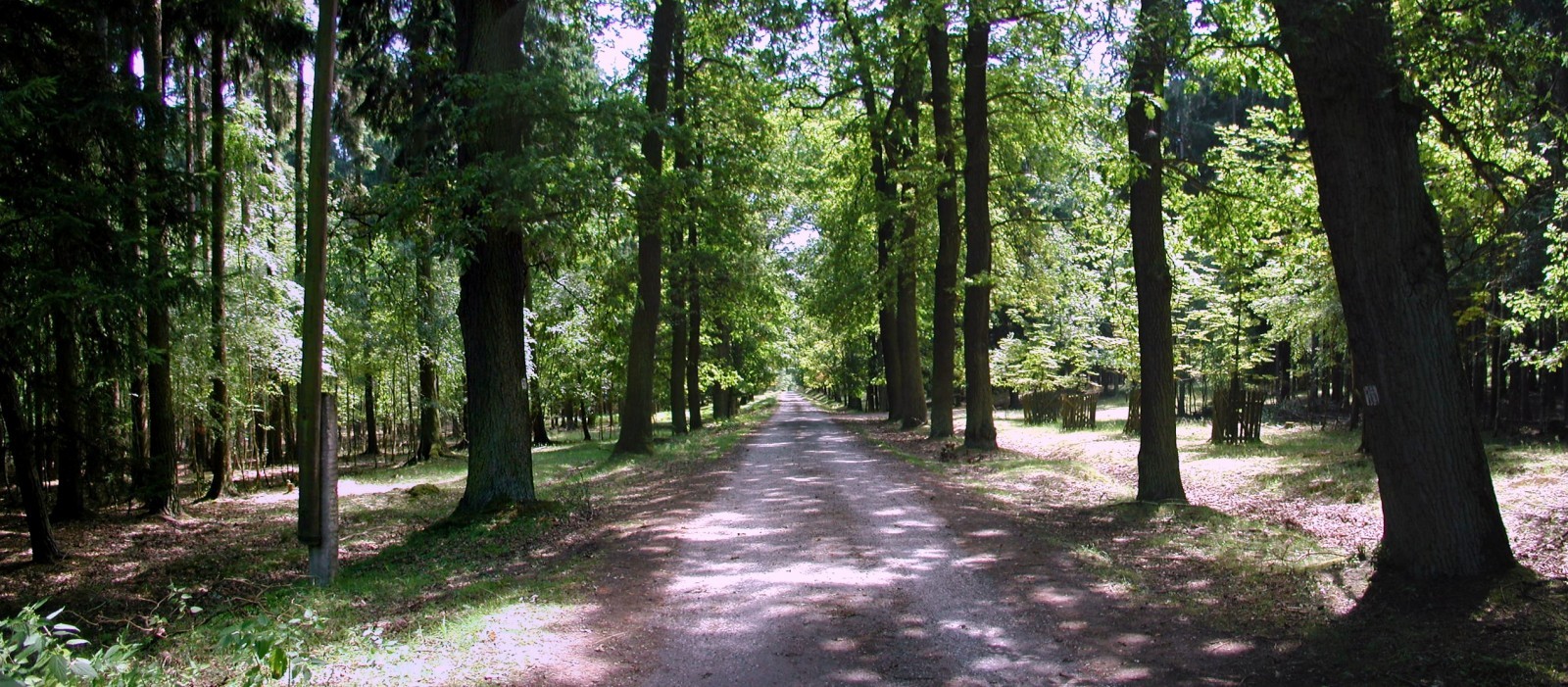 Žehrovská obora foto 3