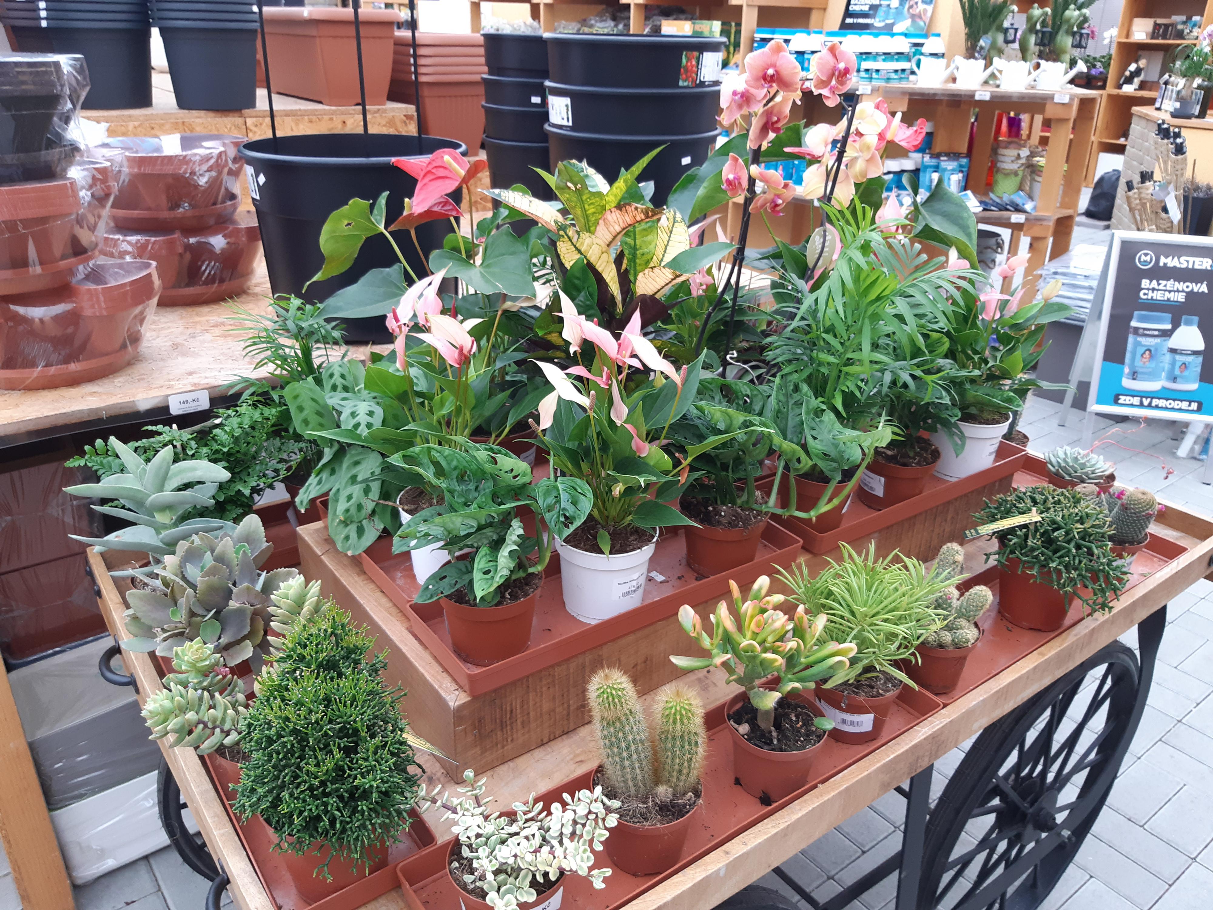 Natura centrum Petrovice s.r.o. foto 5