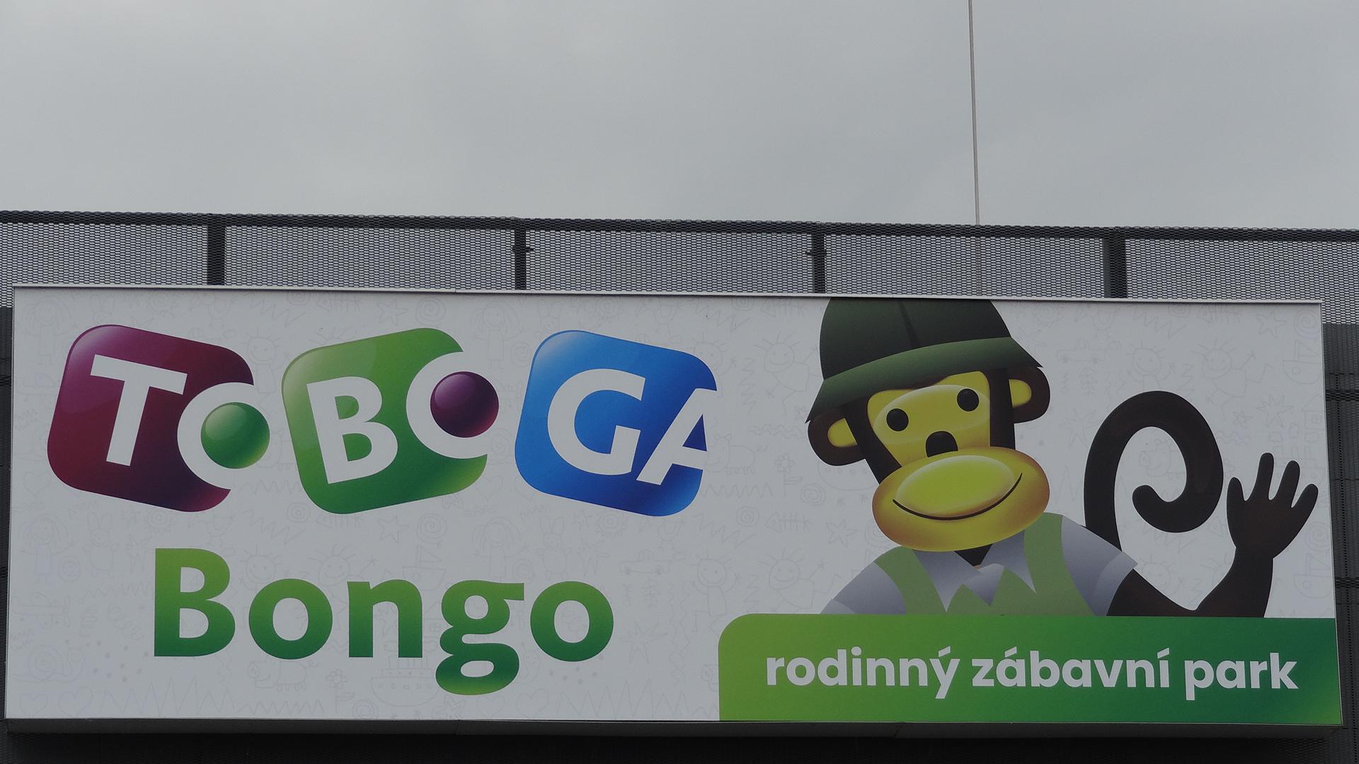 TOBOGA Bongo foto 4