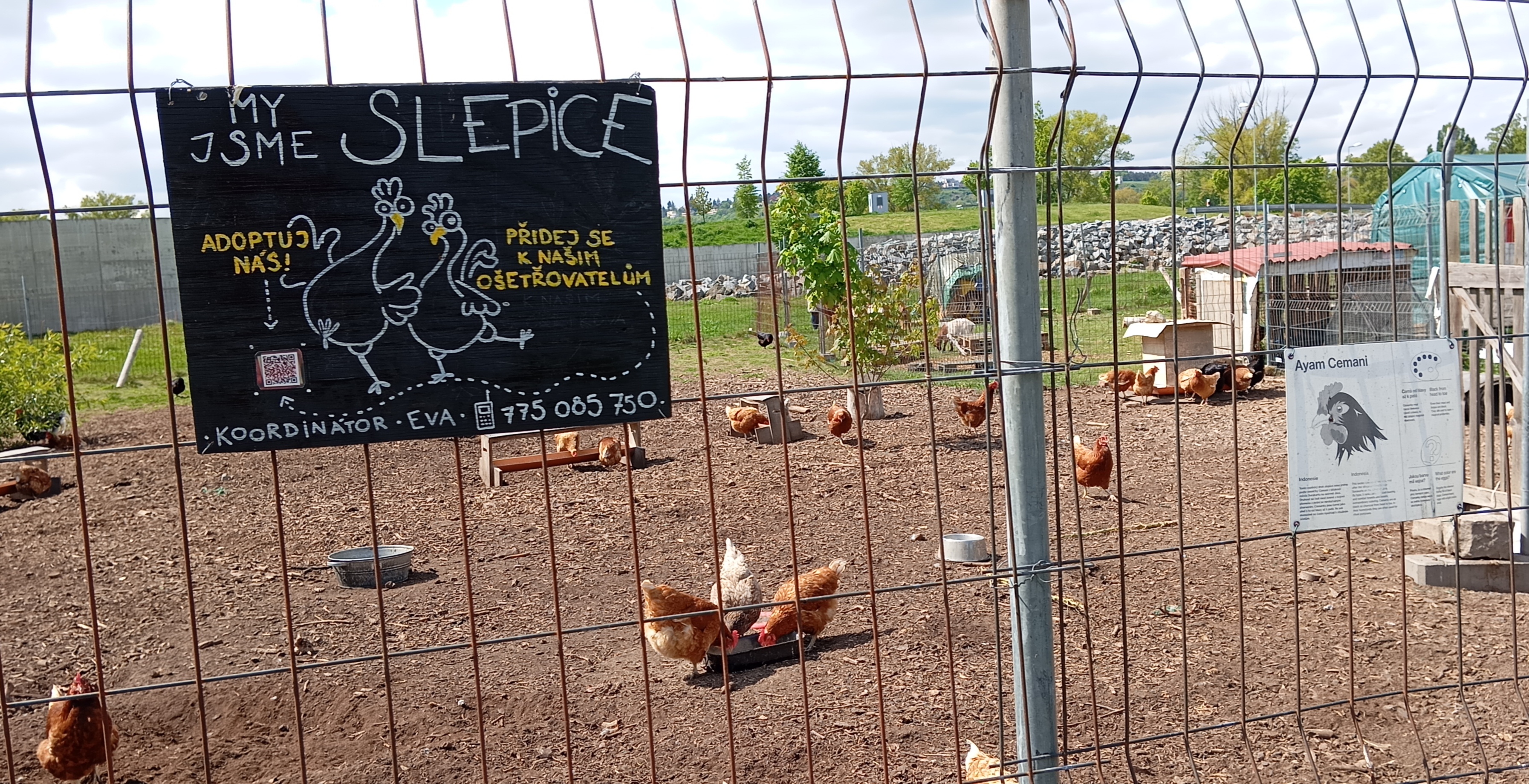 Komunitní zahrada Malý klín foto 5