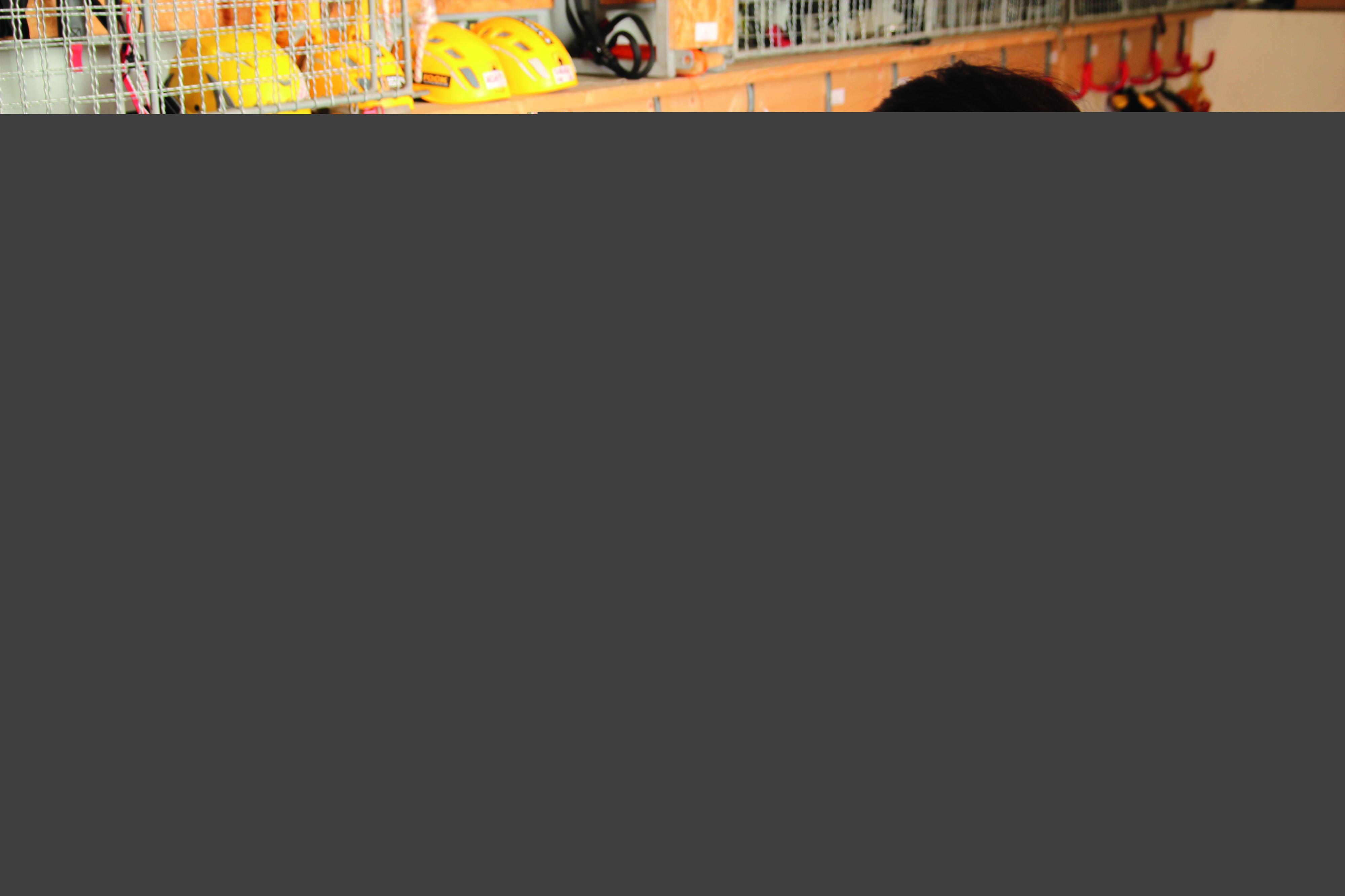 Revize OOPP pro práce ve výškách.