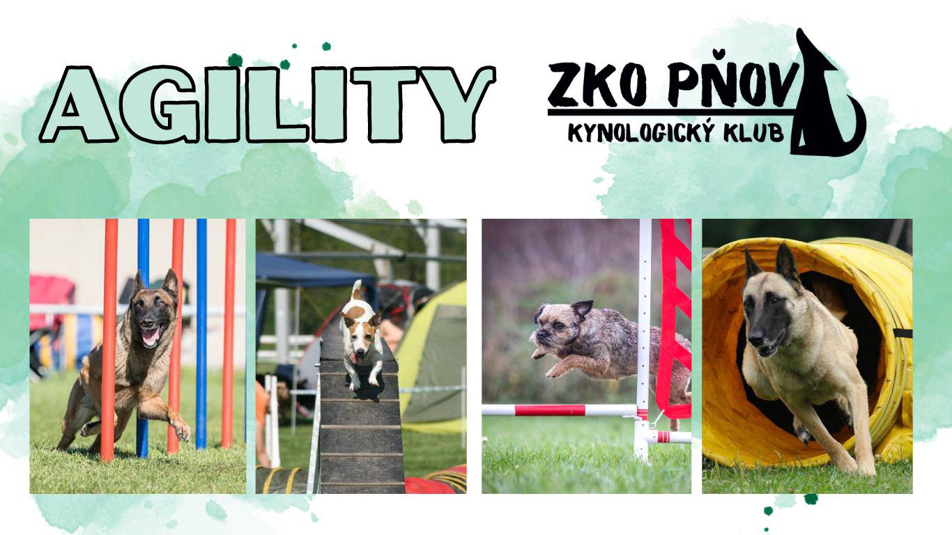 Kynologický klub Pňov foto 5