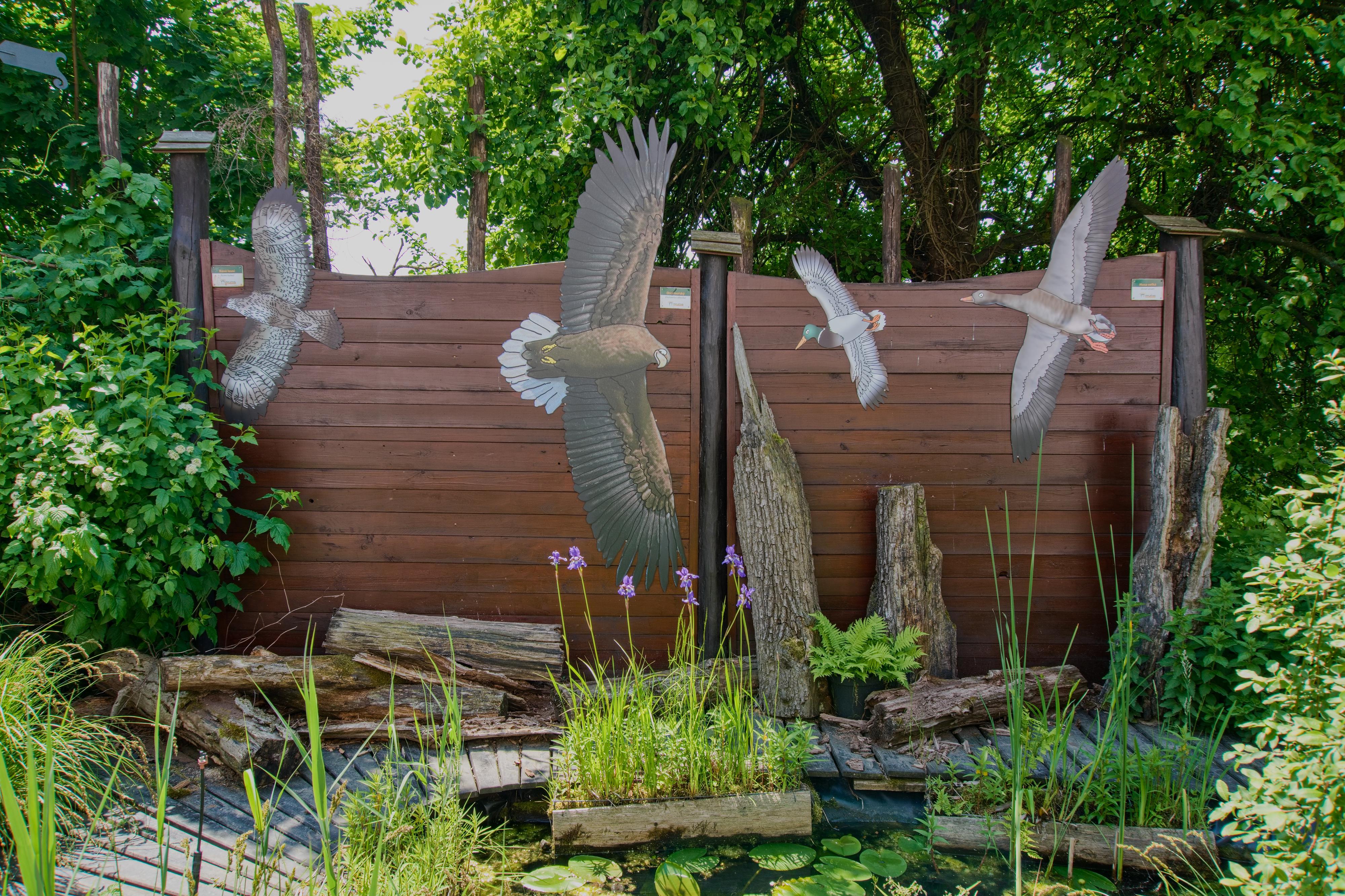 Záchranná stanice a Dům přírody Poodří foto 6