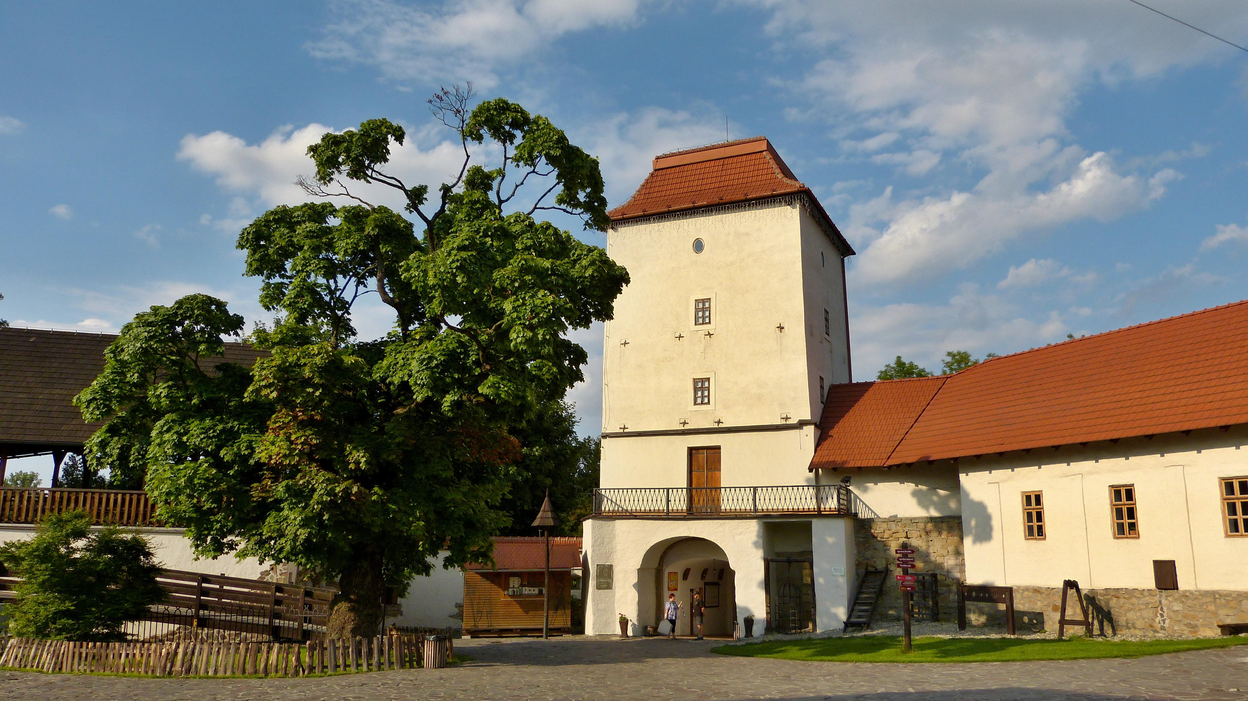 Slezskoostravský hrad