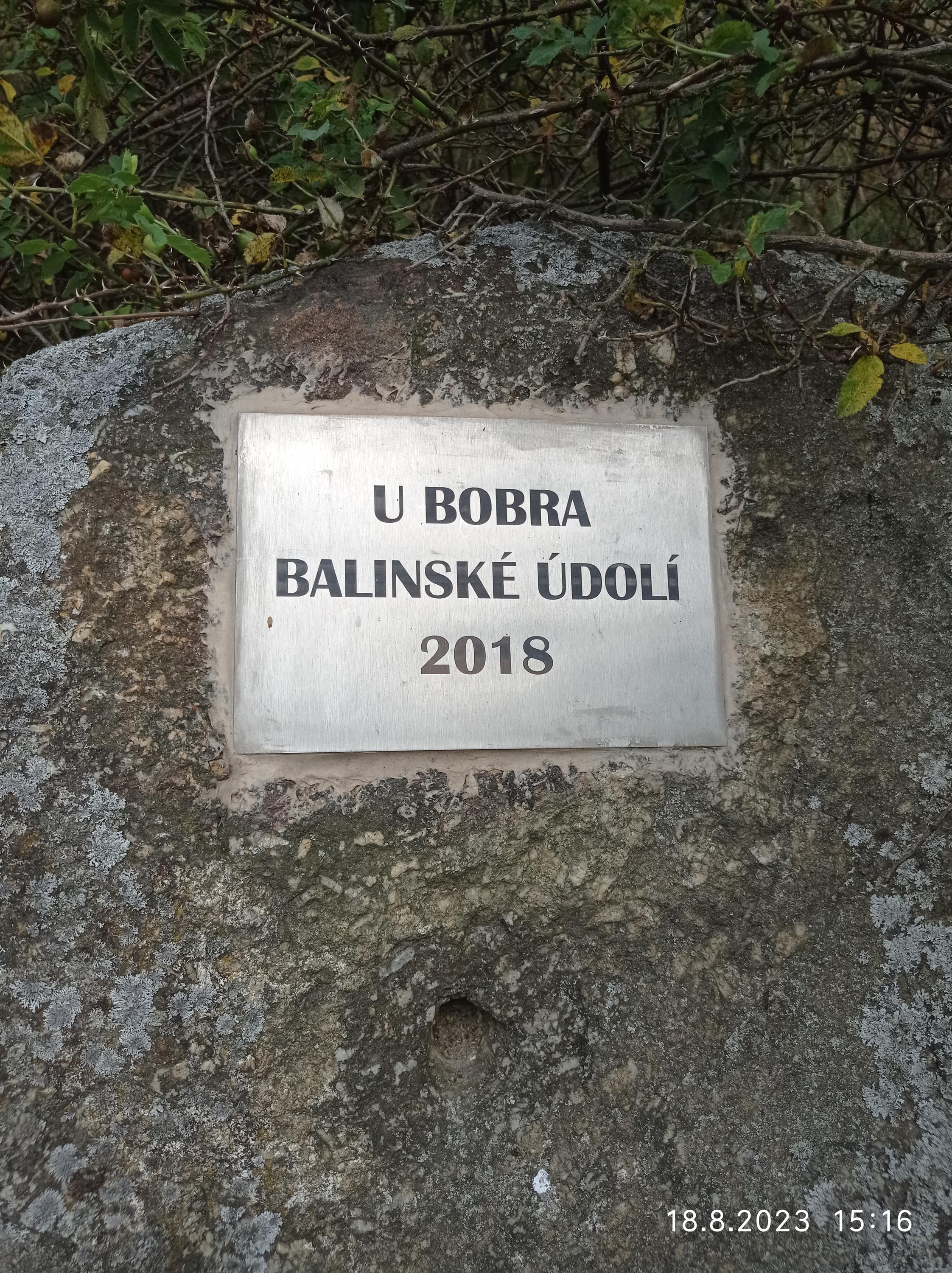 Lesní bar U Bobra foto 5