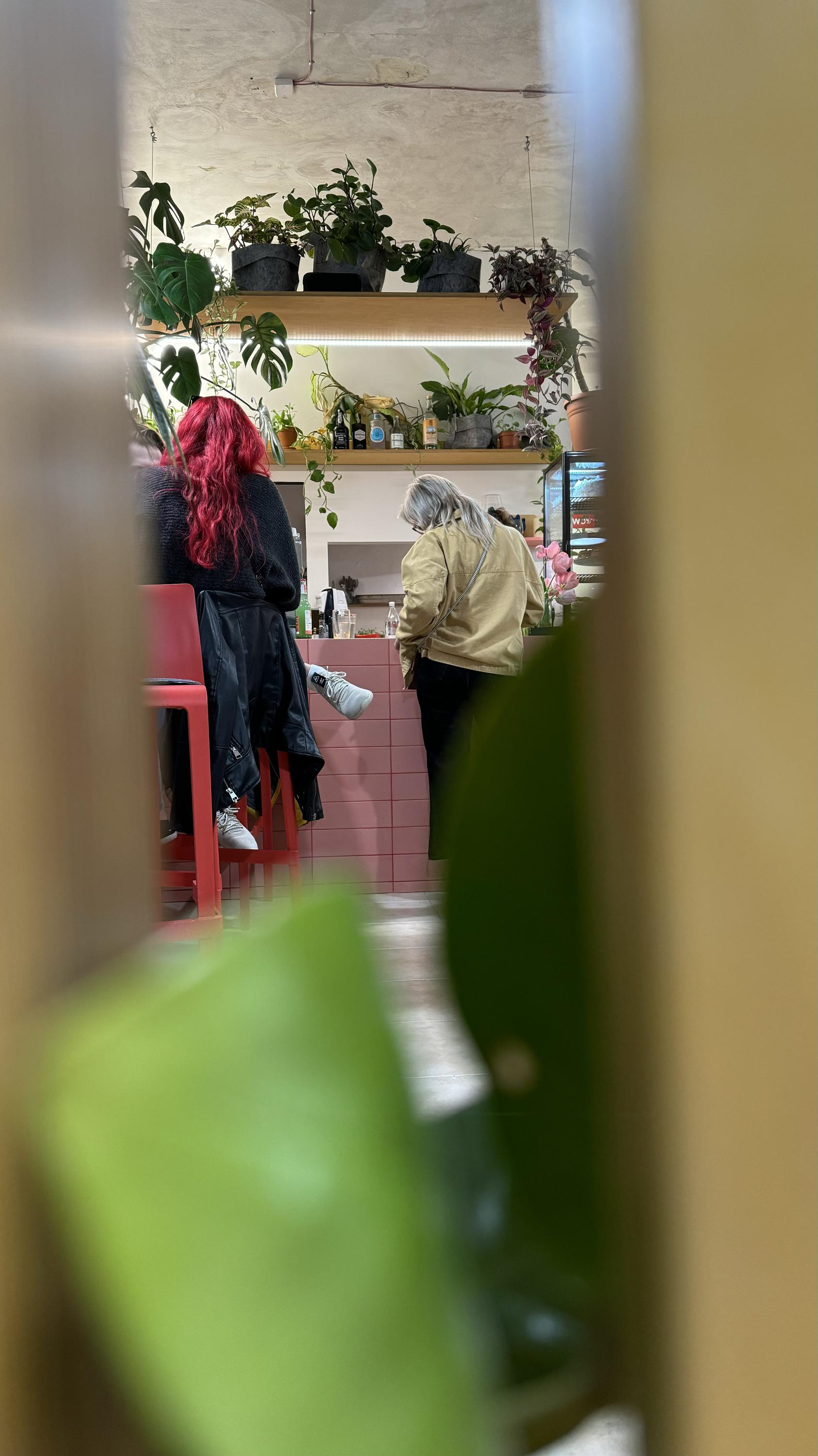 anýz a rorýs BISTRO KAVÁRNA