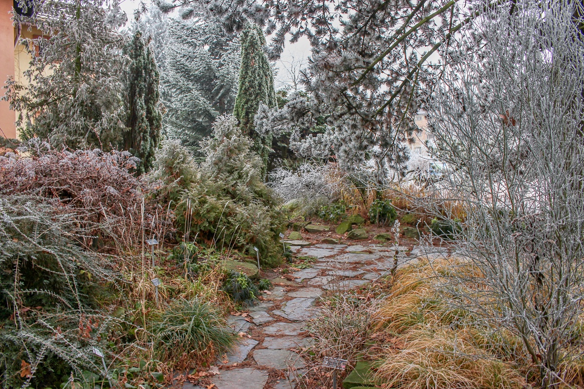 Botanická zahrada Přírodovědecké fakulty Univerzity Palackého v Olomouci foto 4
