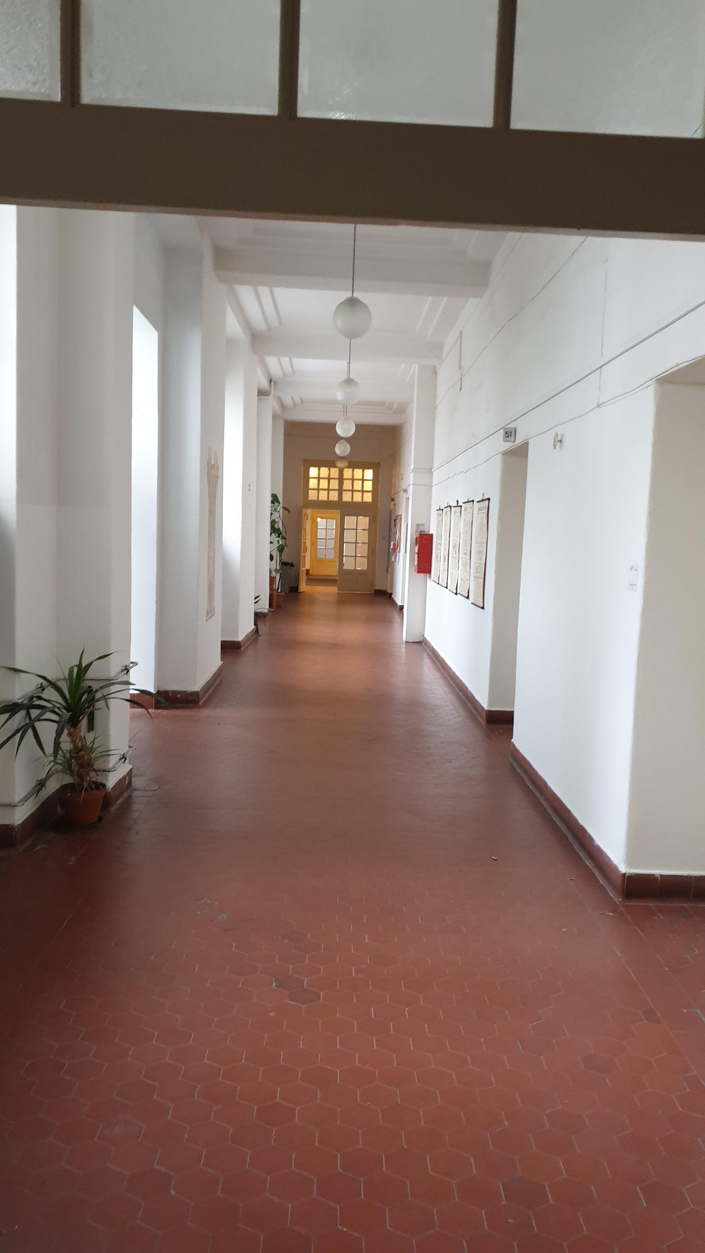 Pavel Žák foto 5