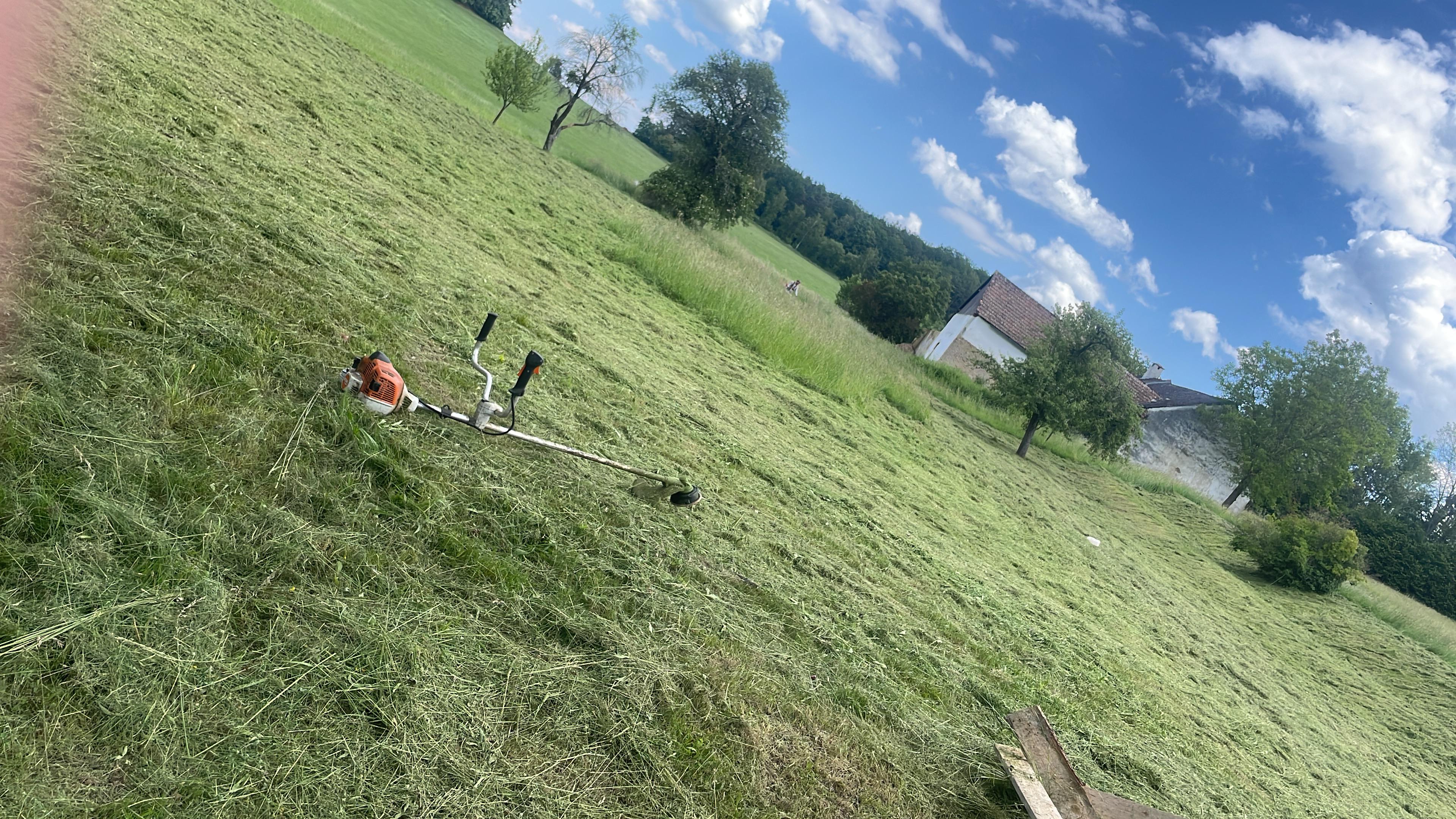 Zahradnické práce BRANOS foto 4