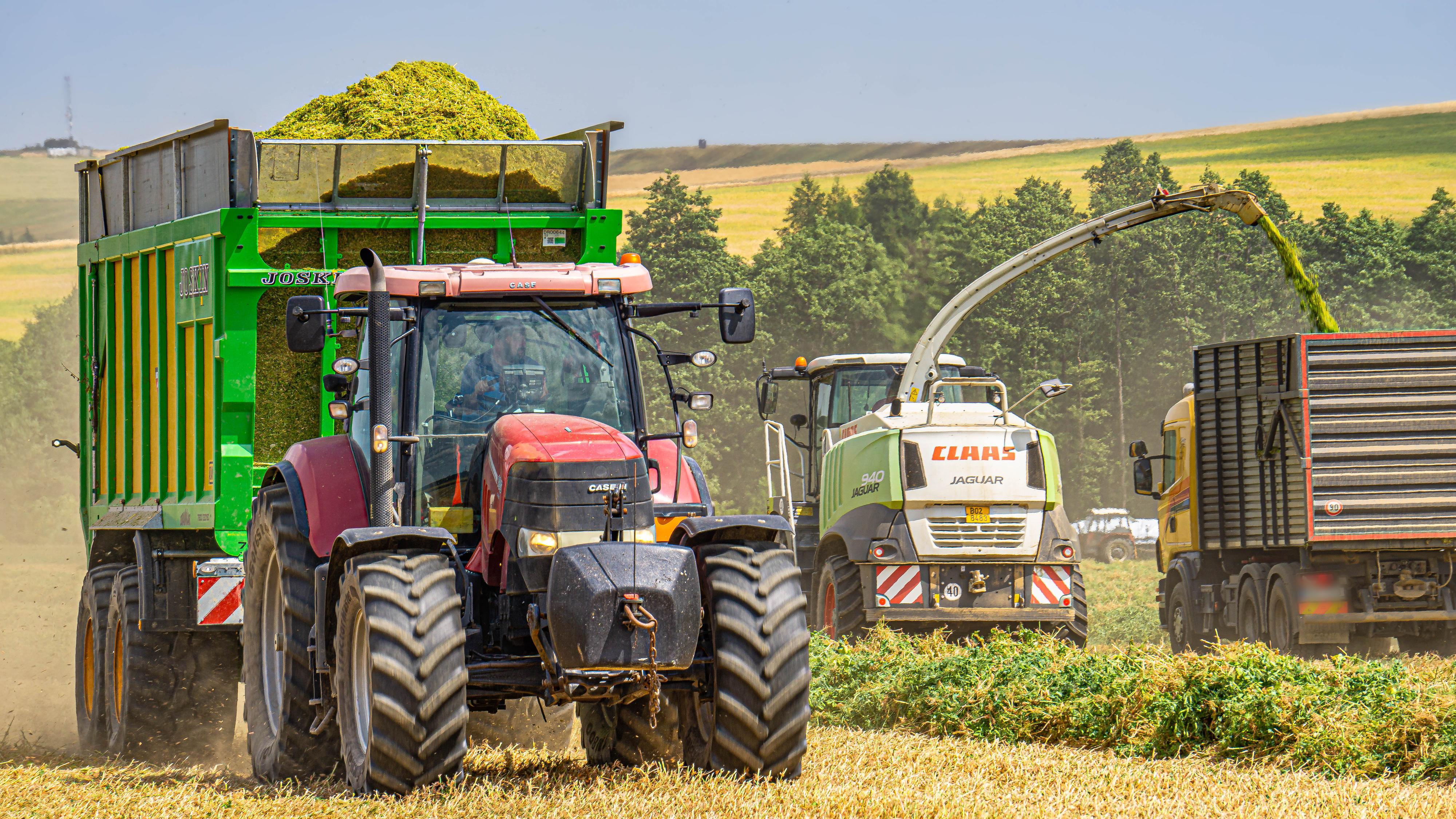 Zemědělské družstvo Kožichovice, družstvo, družstvo foto 3