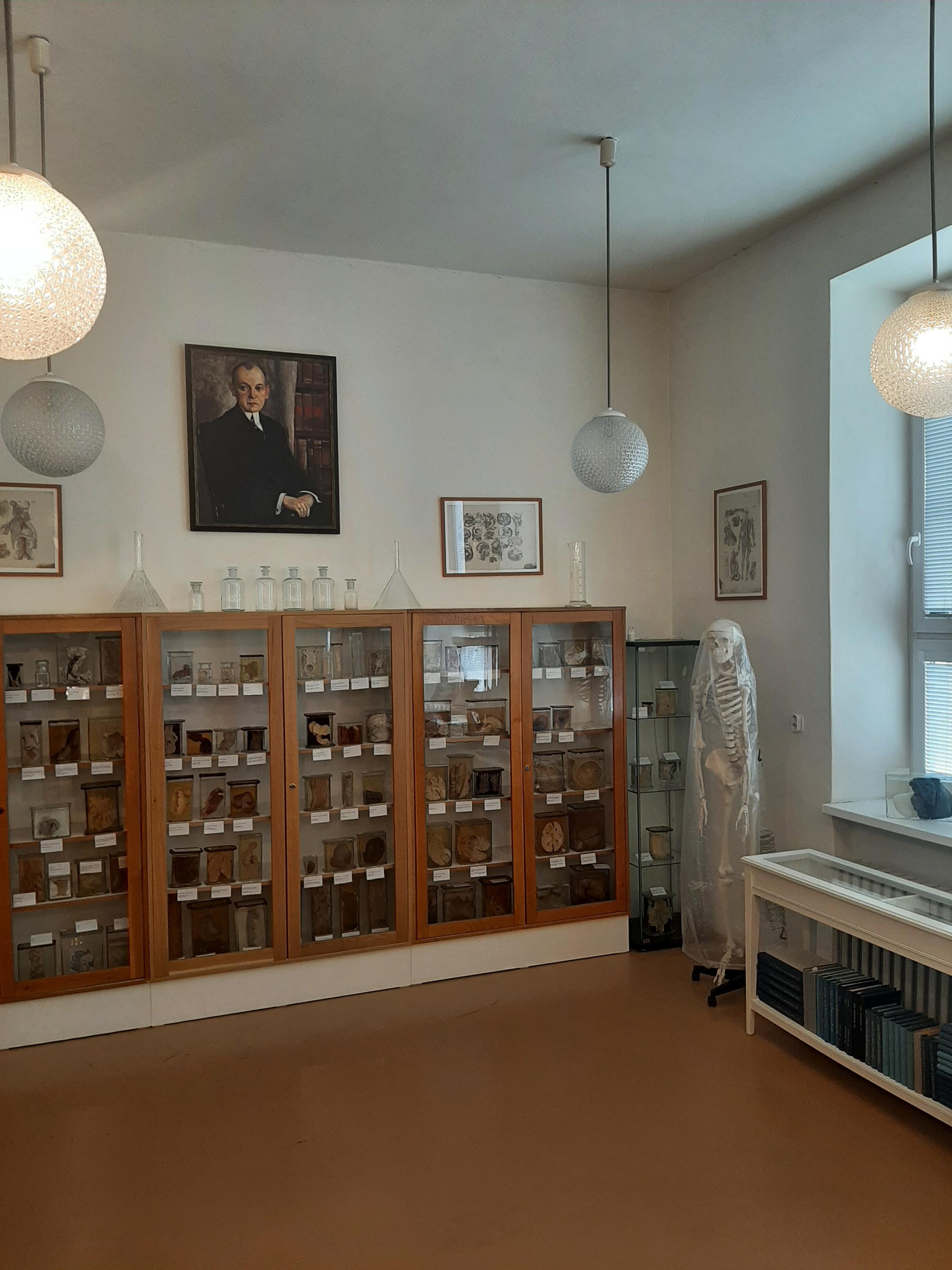 Muzeum patologie - Moravskoslezská nemocnice Opava foto 2
