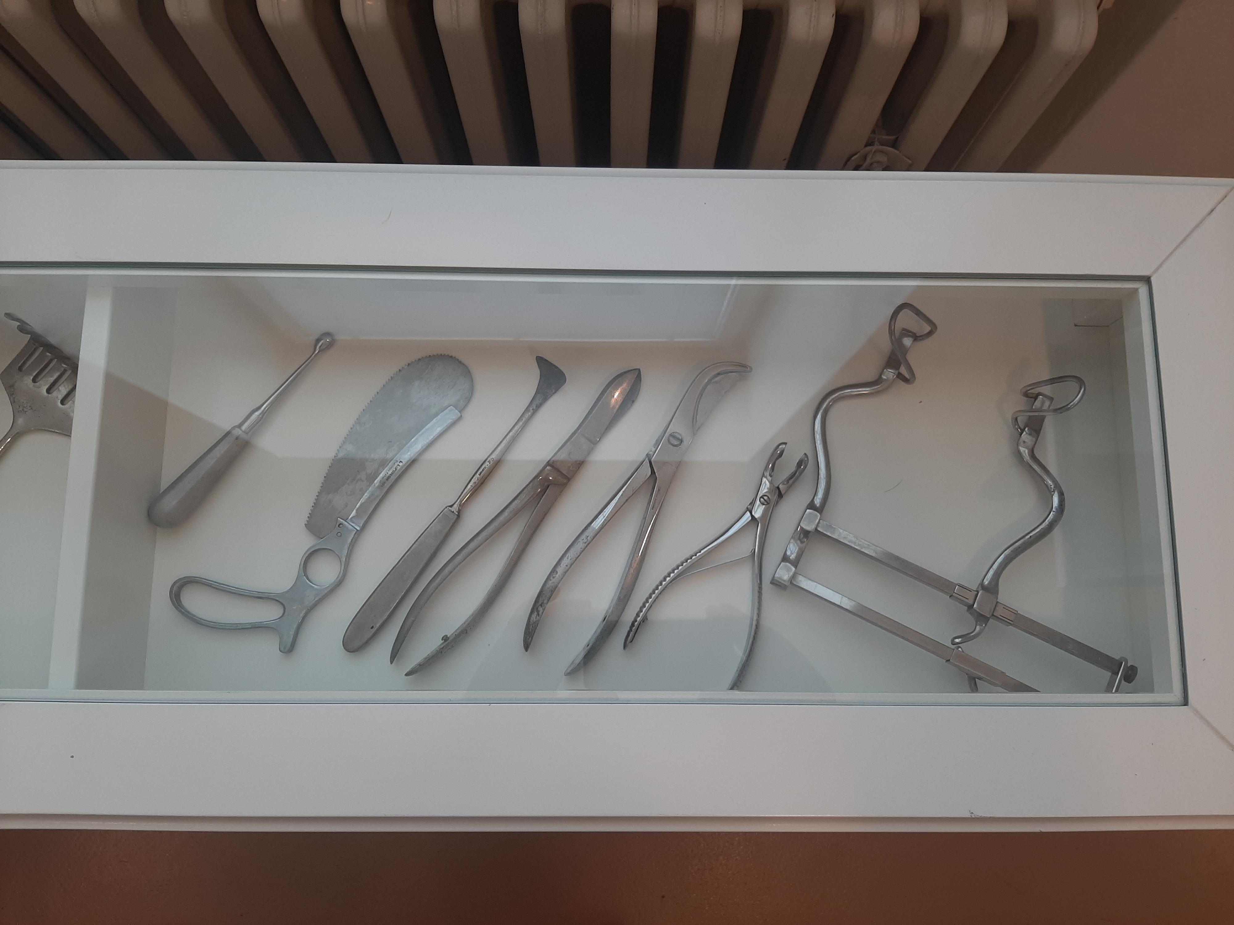 Muzeum patologie - Moravskoslezská nemocnice Opava foto 4