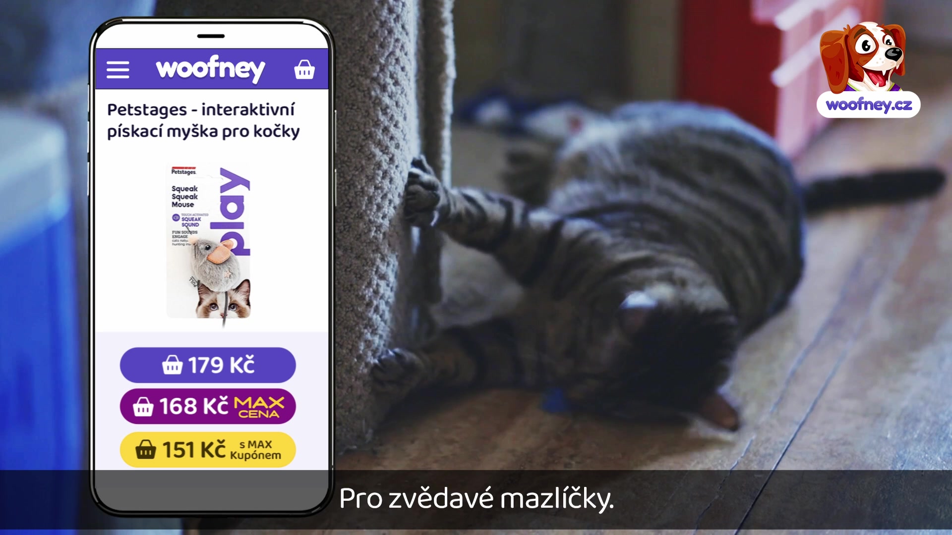 Woofney.cz foto 2 (náhled videa)