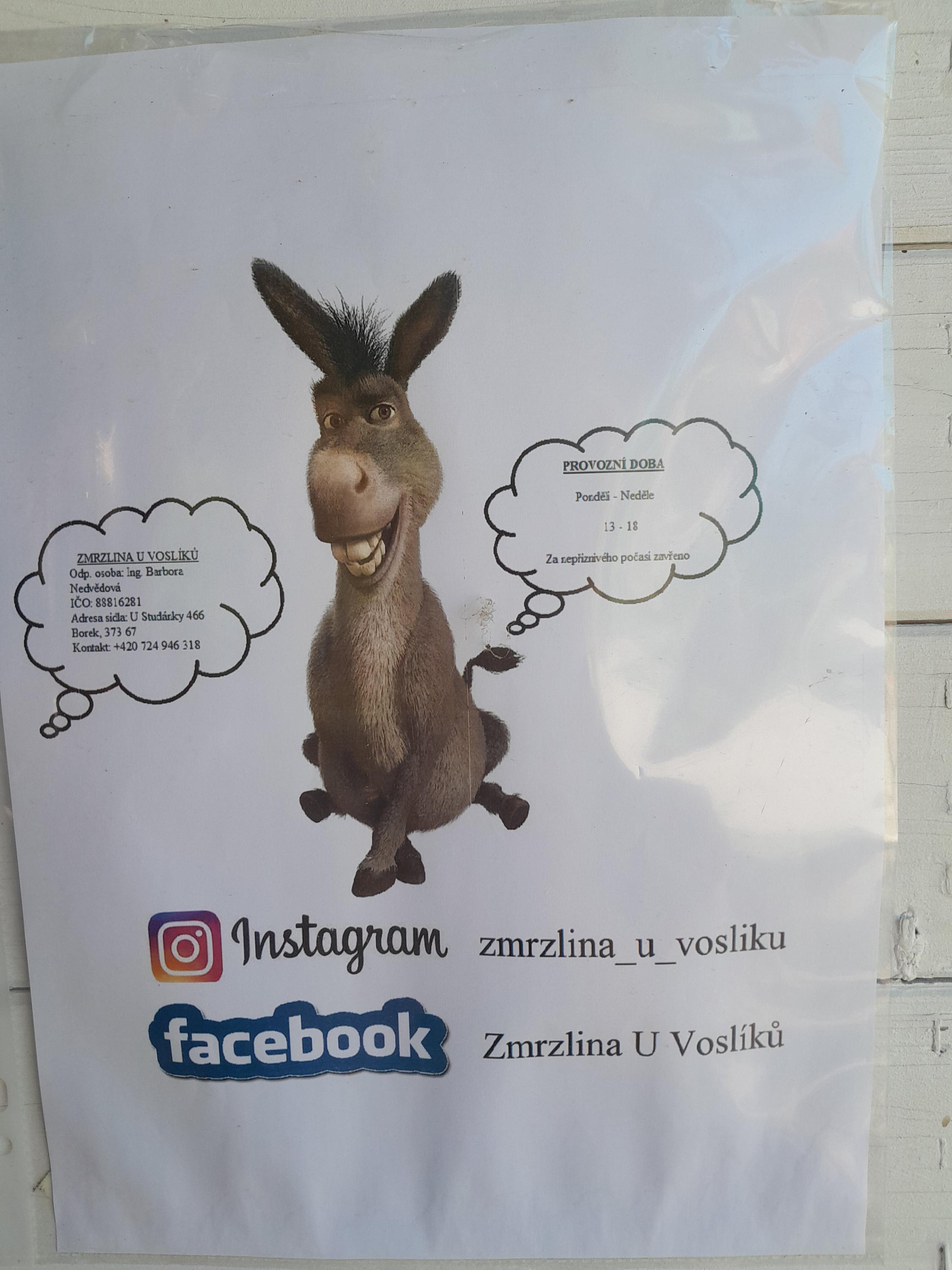 Zmrzlina U Voslíků foto 6