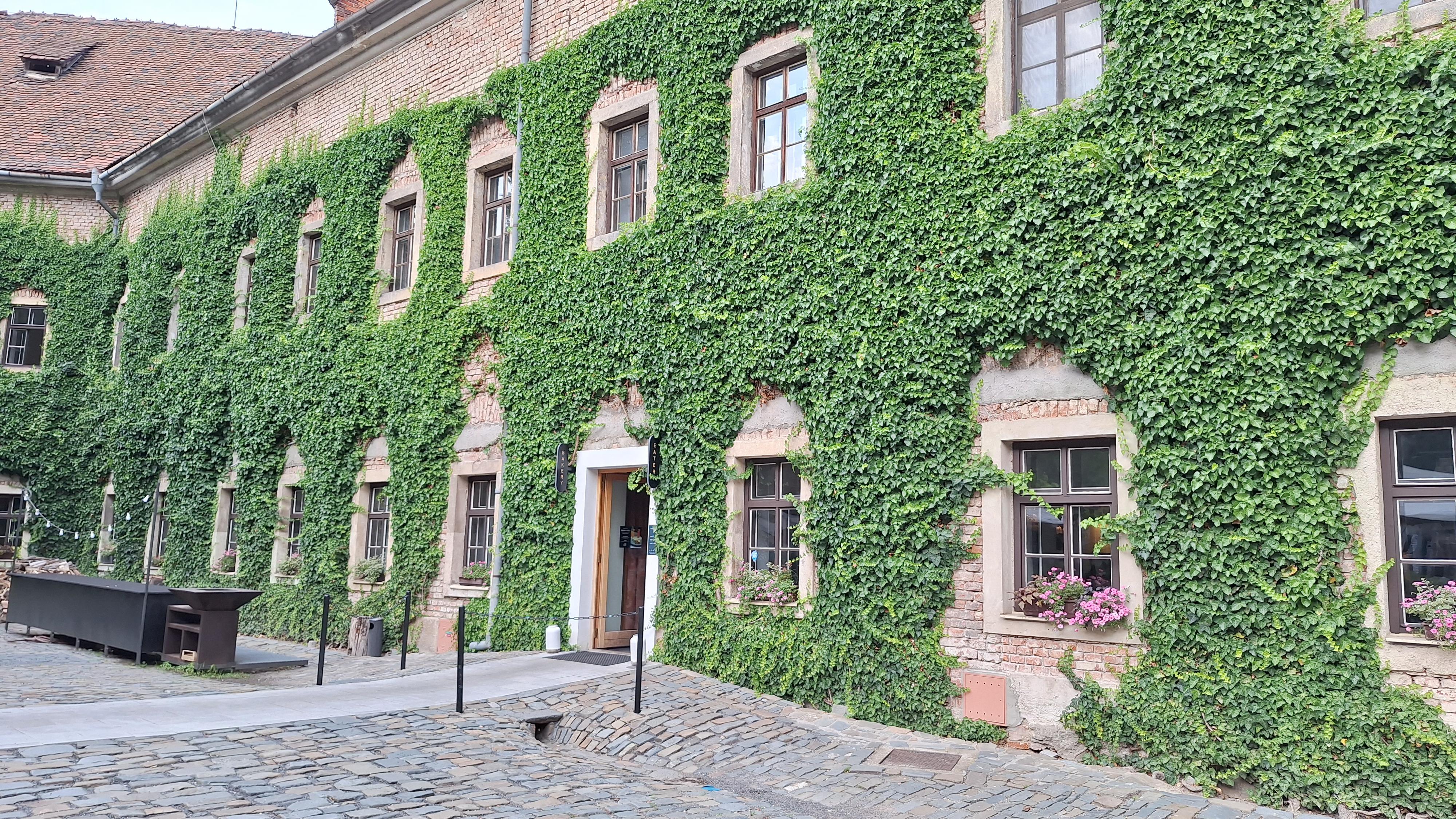 Long Story Short Café&Bar