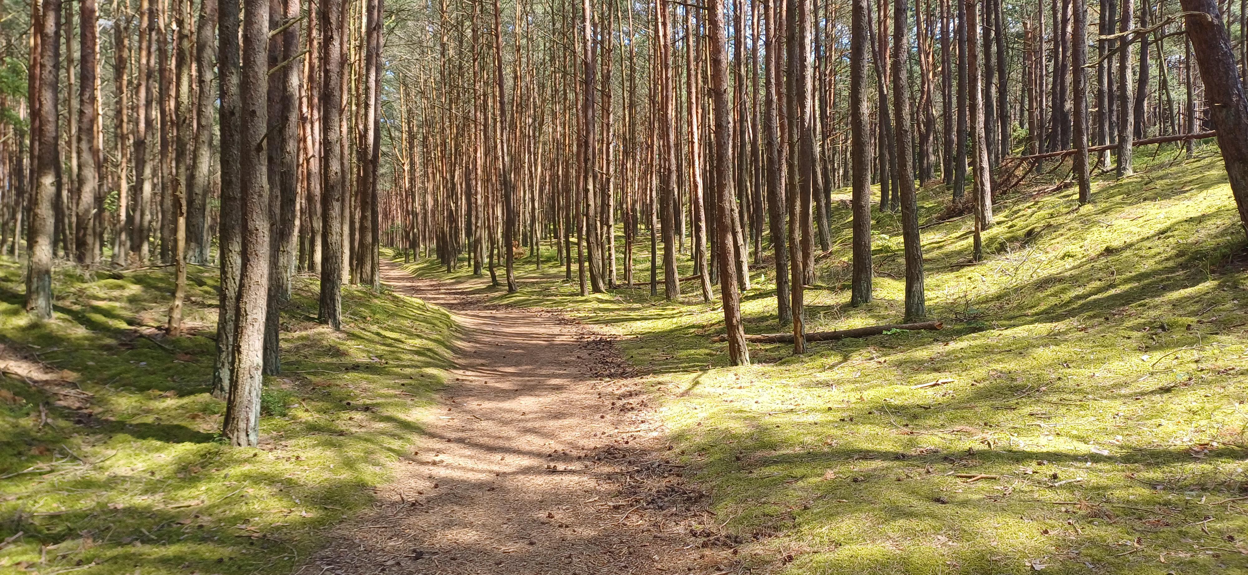 ASSIST - your way - cestovní agentura foto 5