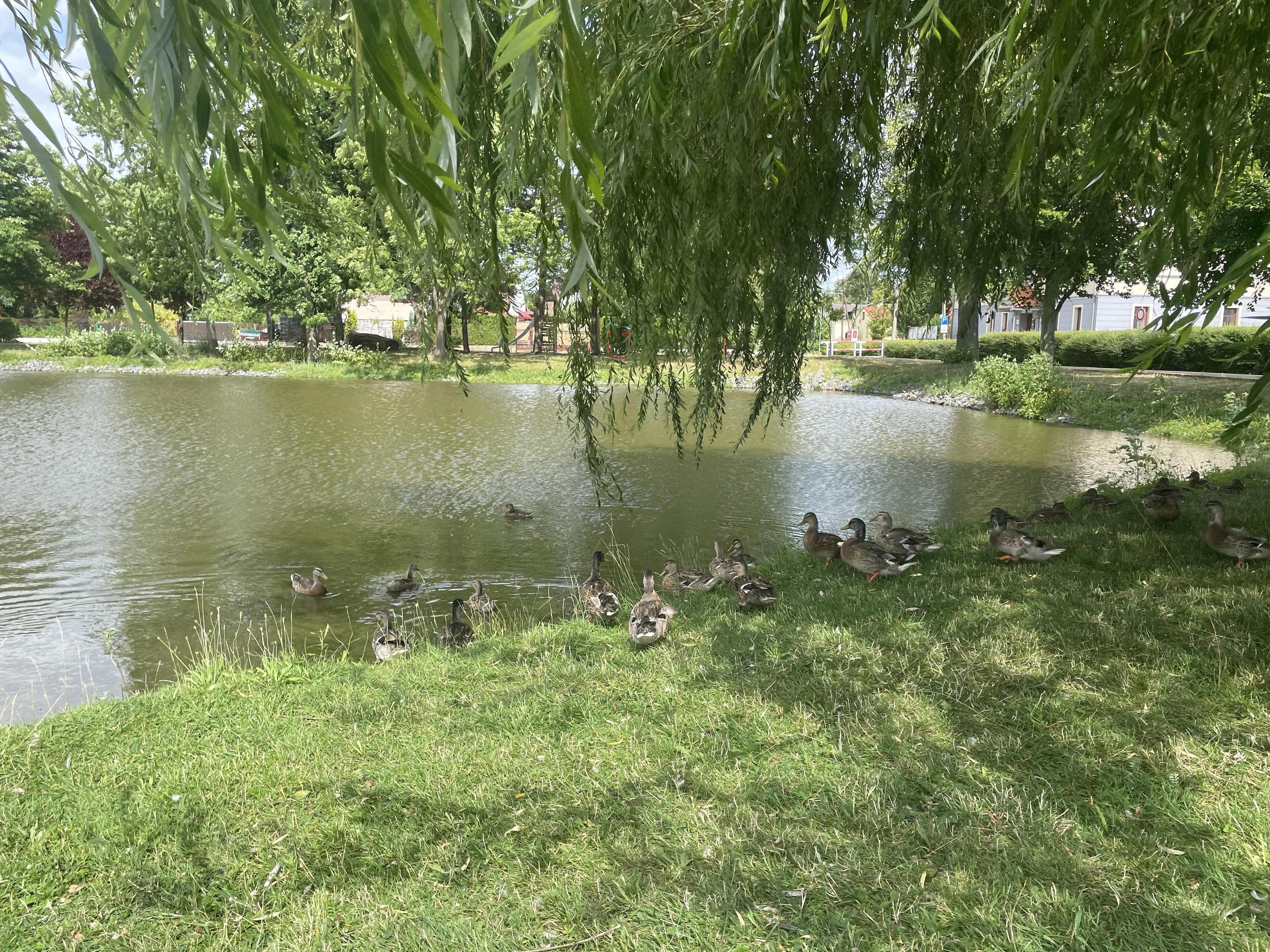 Hostinec "U Obrusníků" foto 4