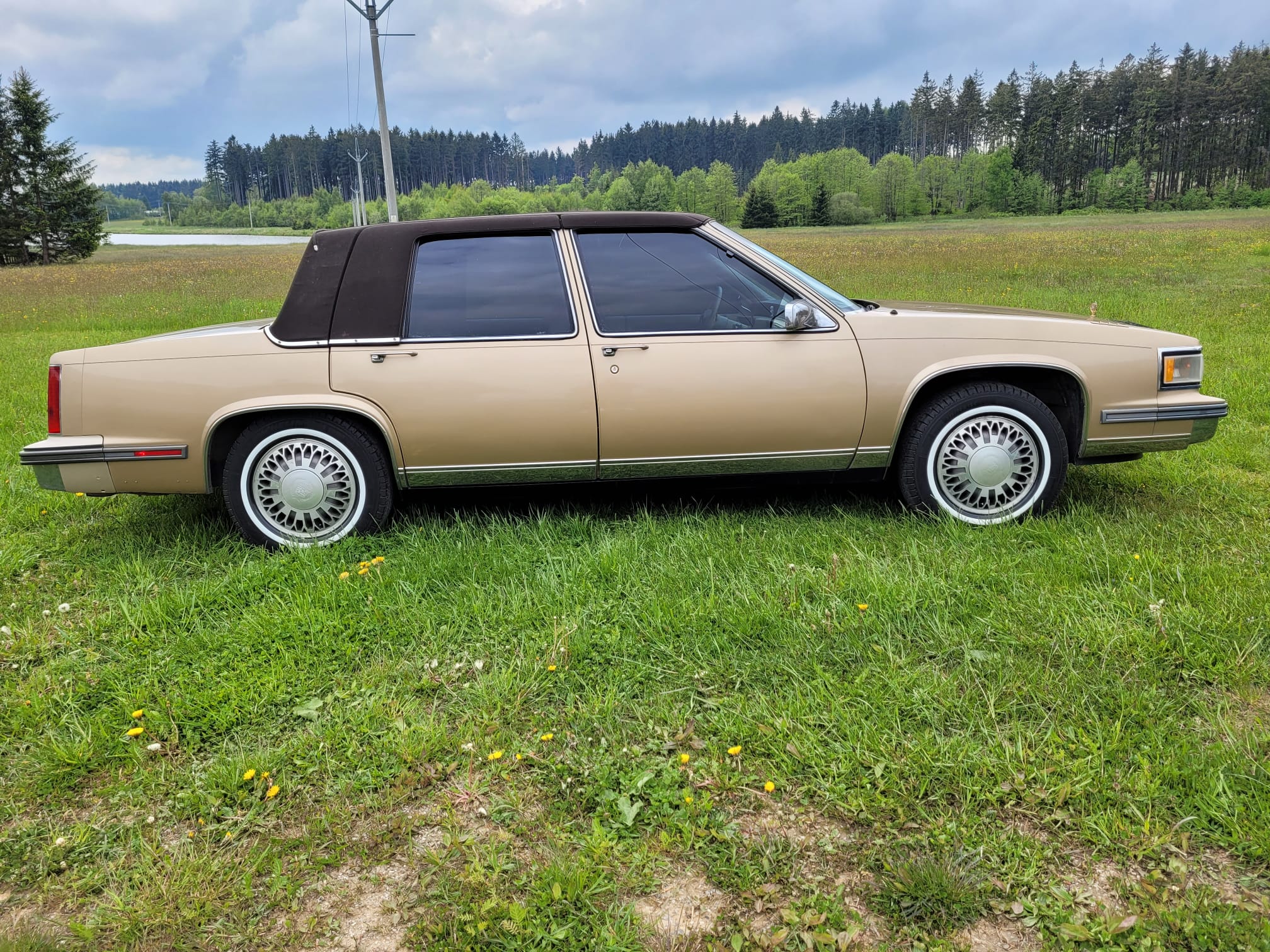 Rental obchod s.r.o. foto 2