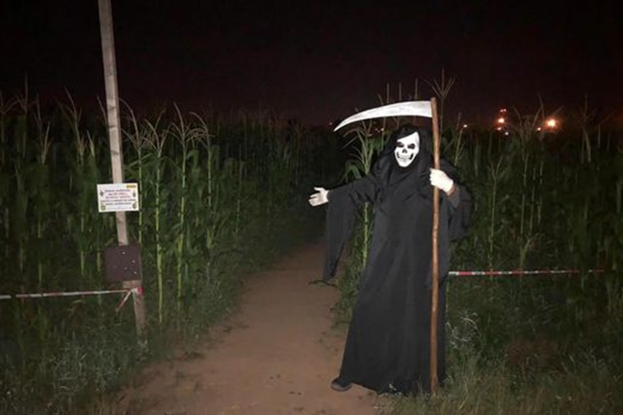 Noční bloudění v kukuřičném labyrintu
