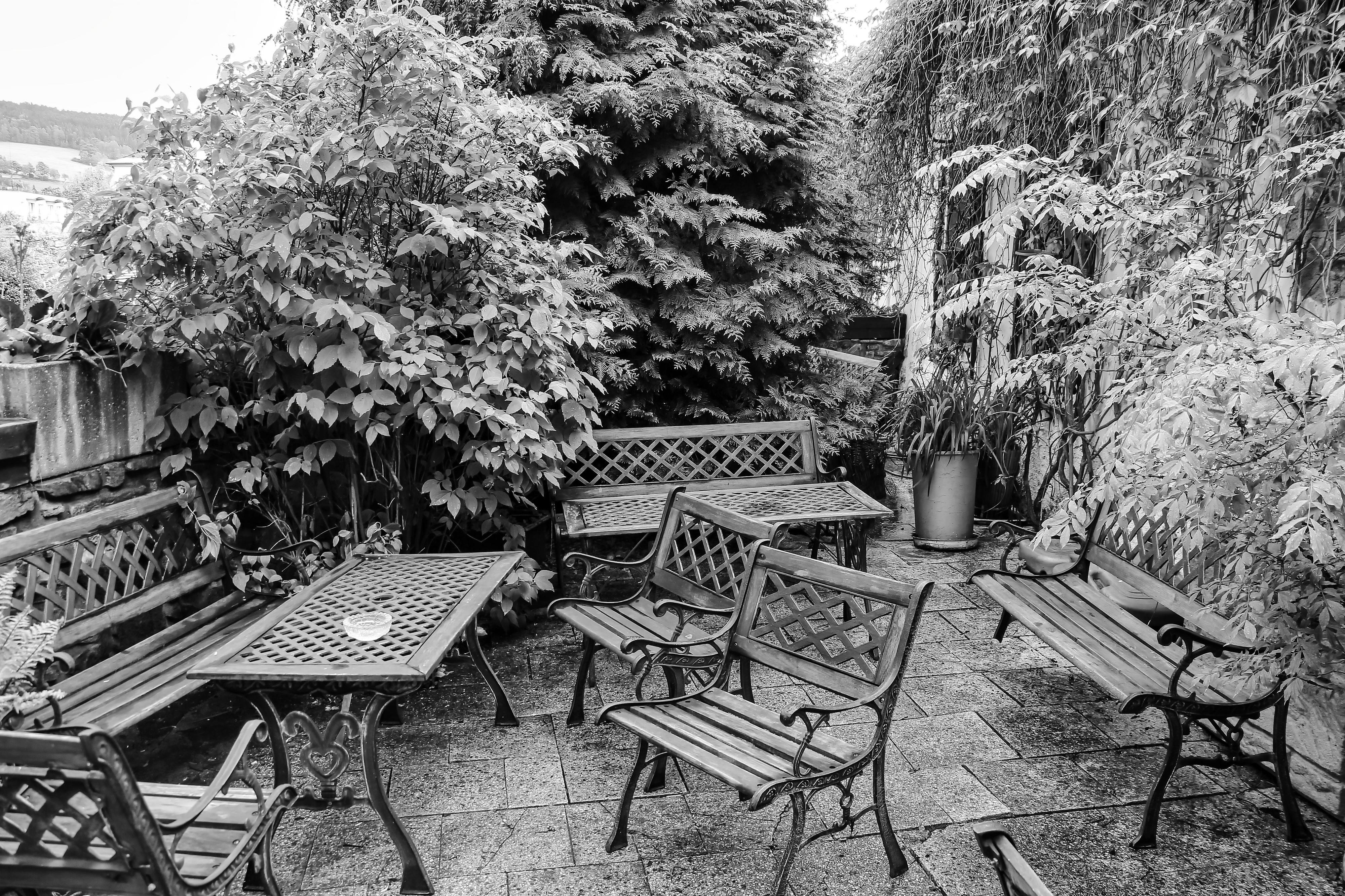 Kavárna a Cukrárna Vanesa foto 6