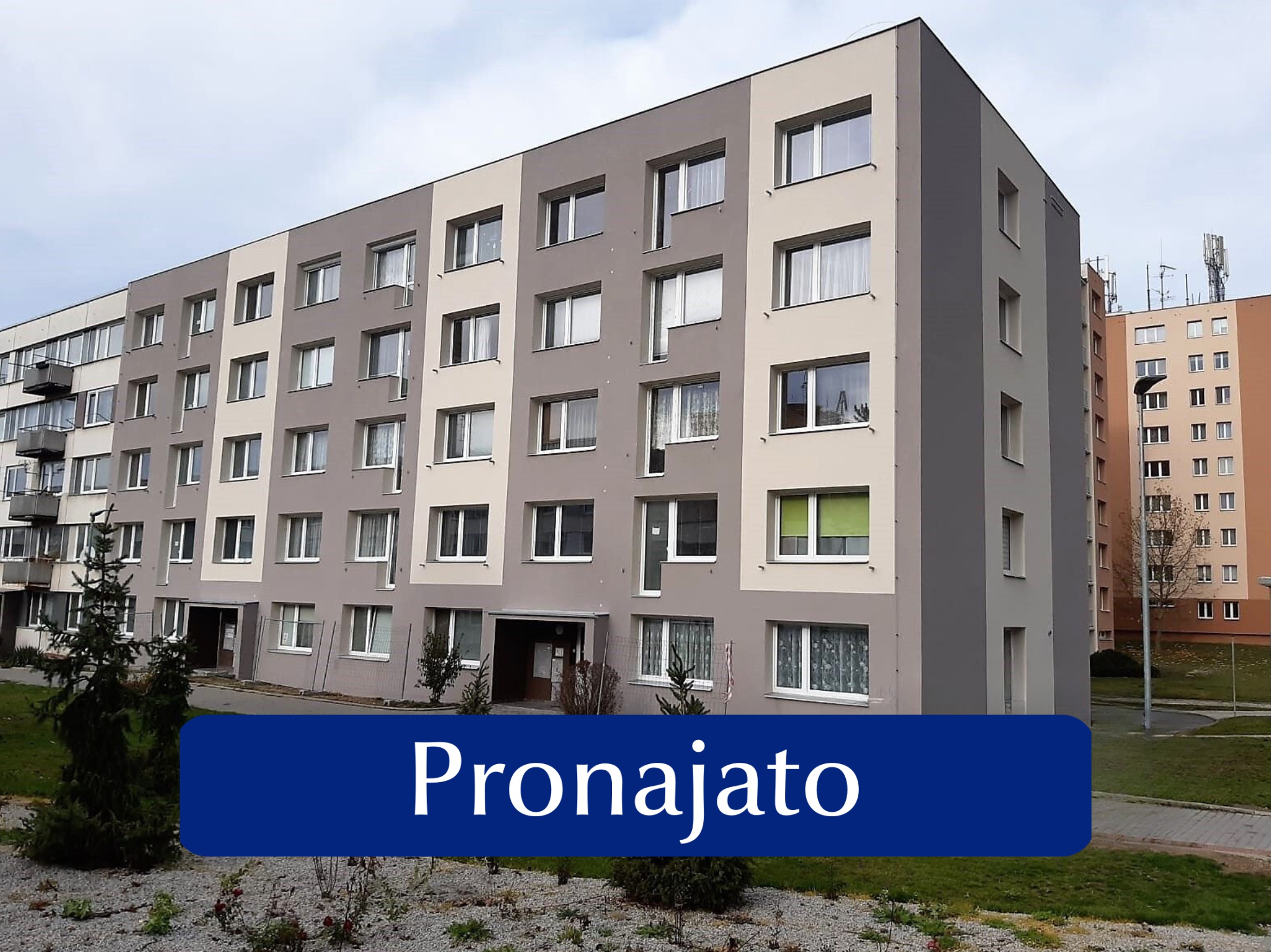 Dana Štolková, REALBOX, partner Justo foto 3