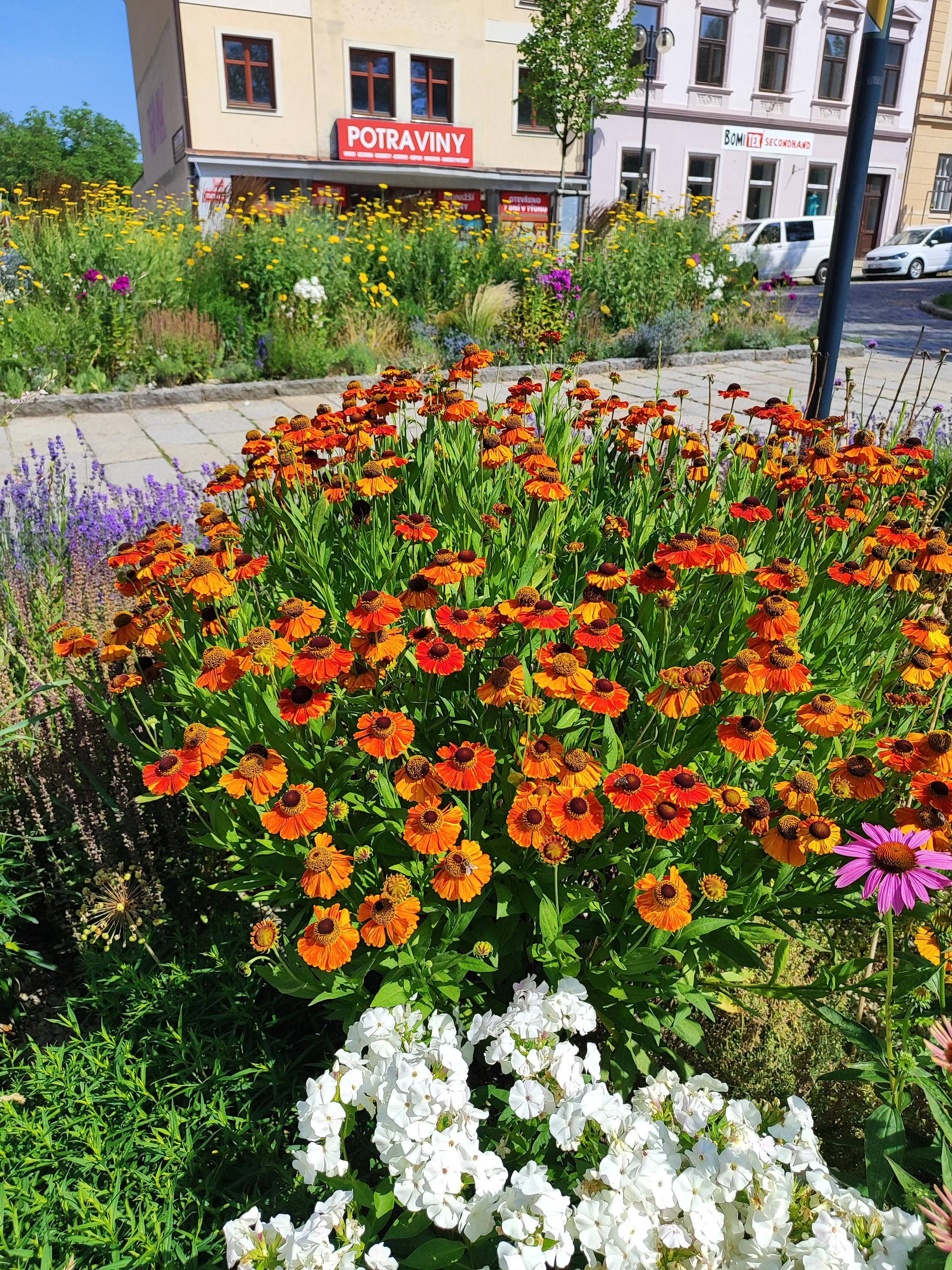 Bomitex Písek Komenského foto 2