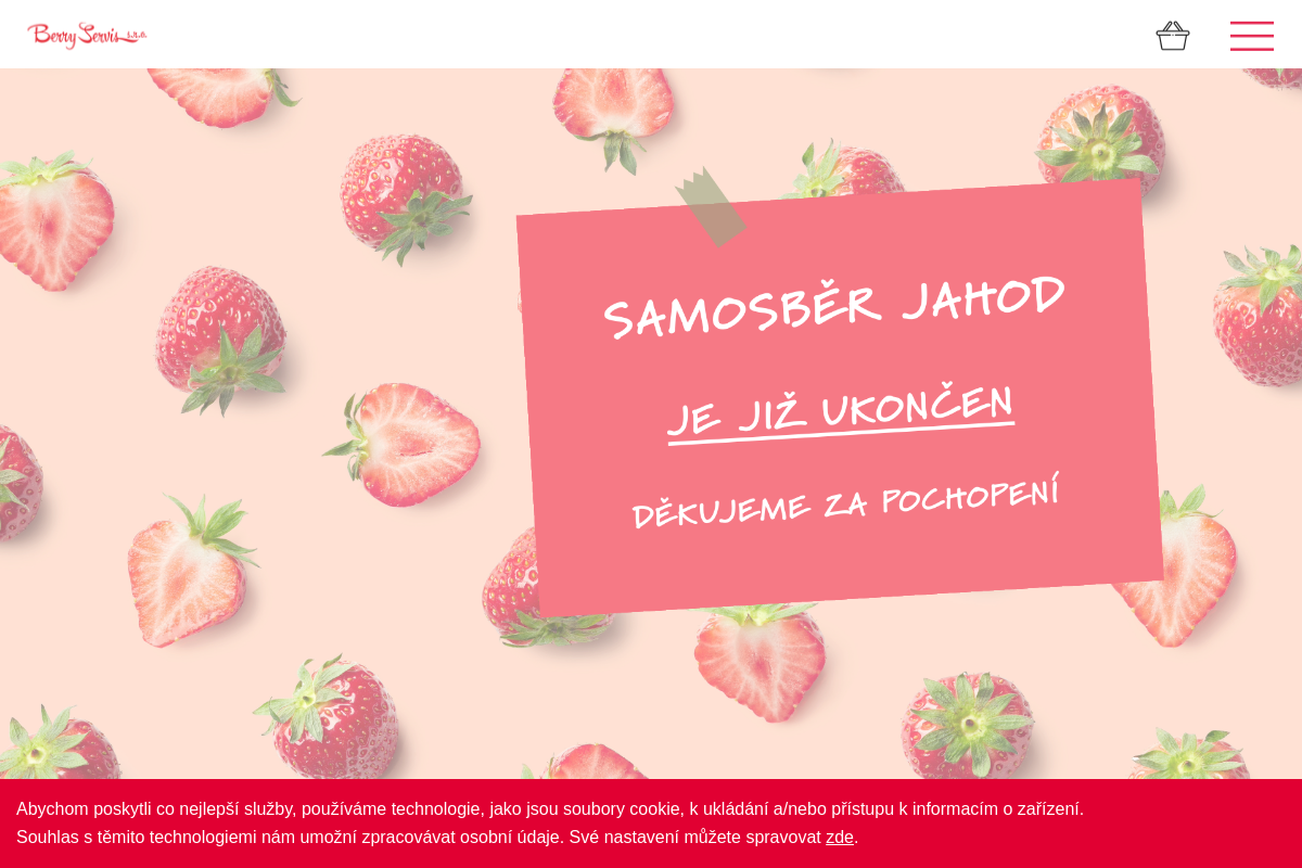 Berryservis.cz