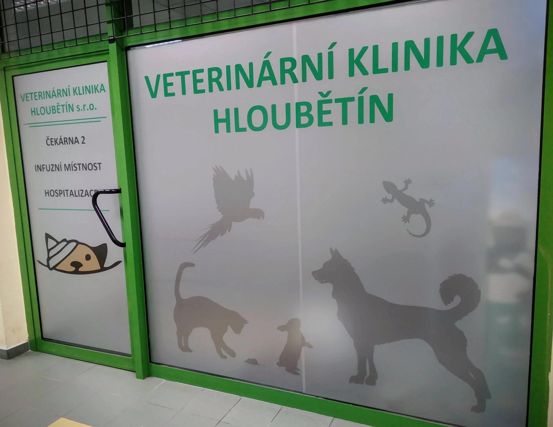 Veterinární klinika Hloubětín foto 3